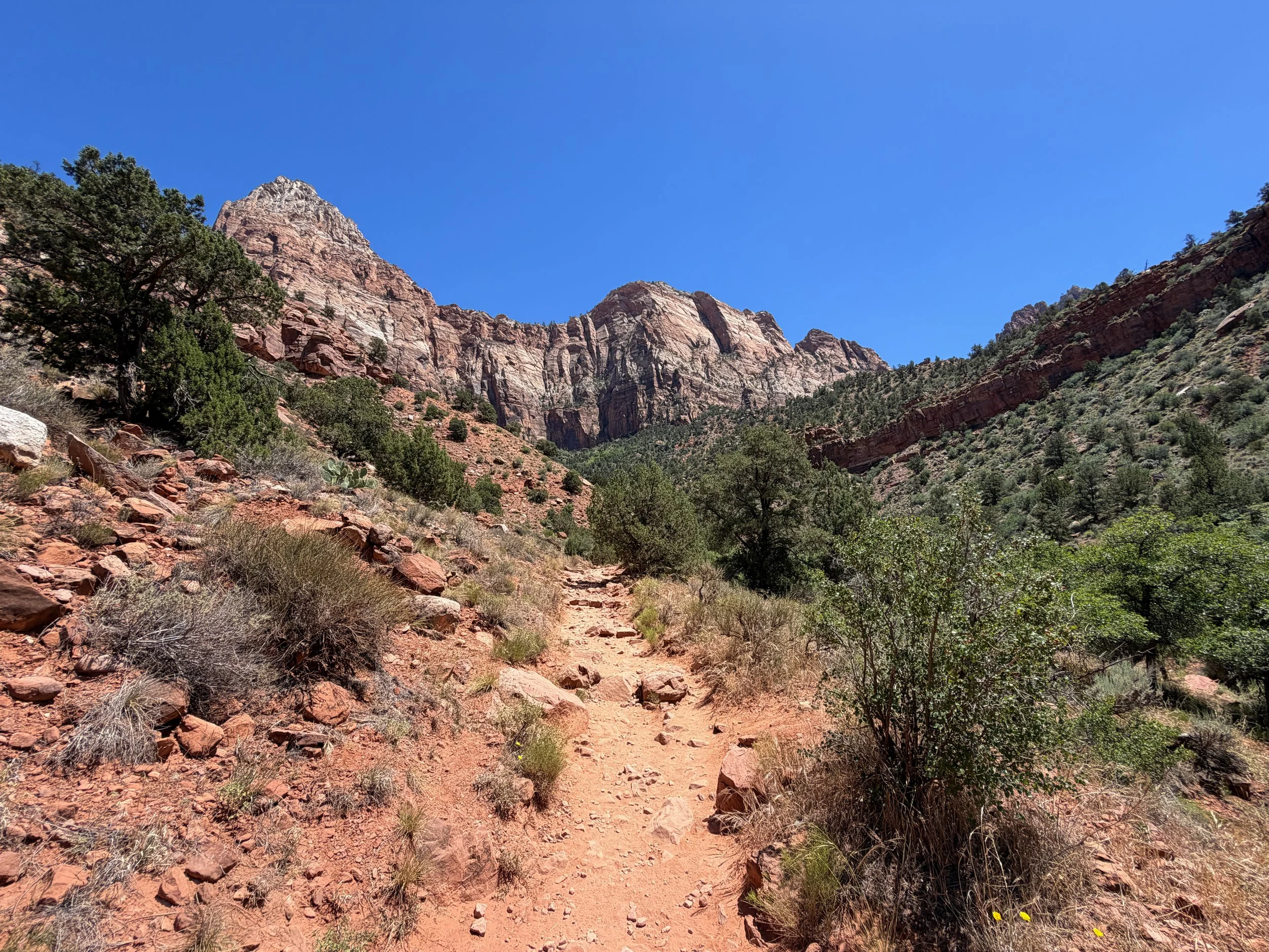 Watchman Hike Zion National Park Utah