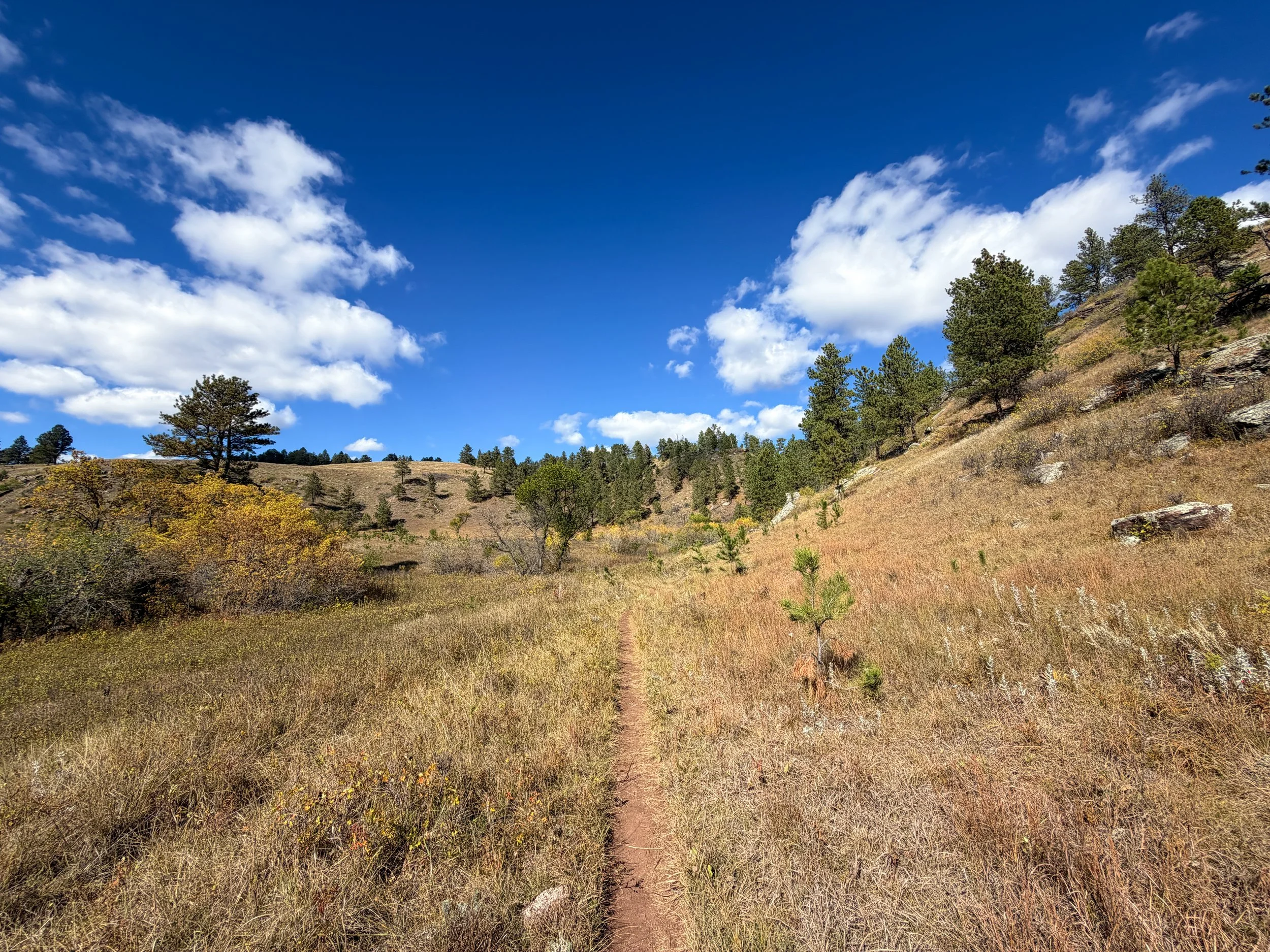 Lookout Point Loop Trail Wind Cave National Park South Dakota