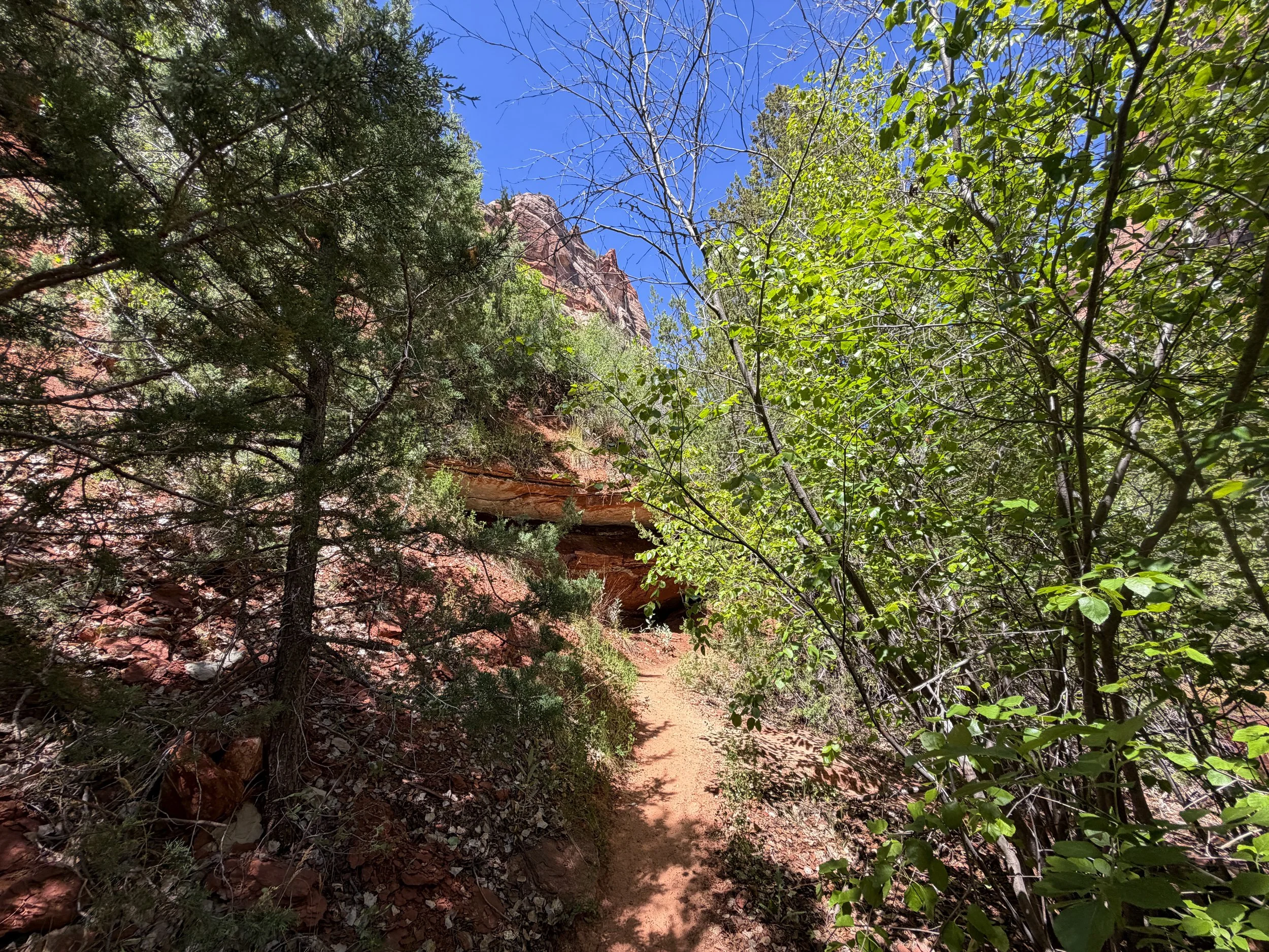 Subway Trail Zion National Park Utah