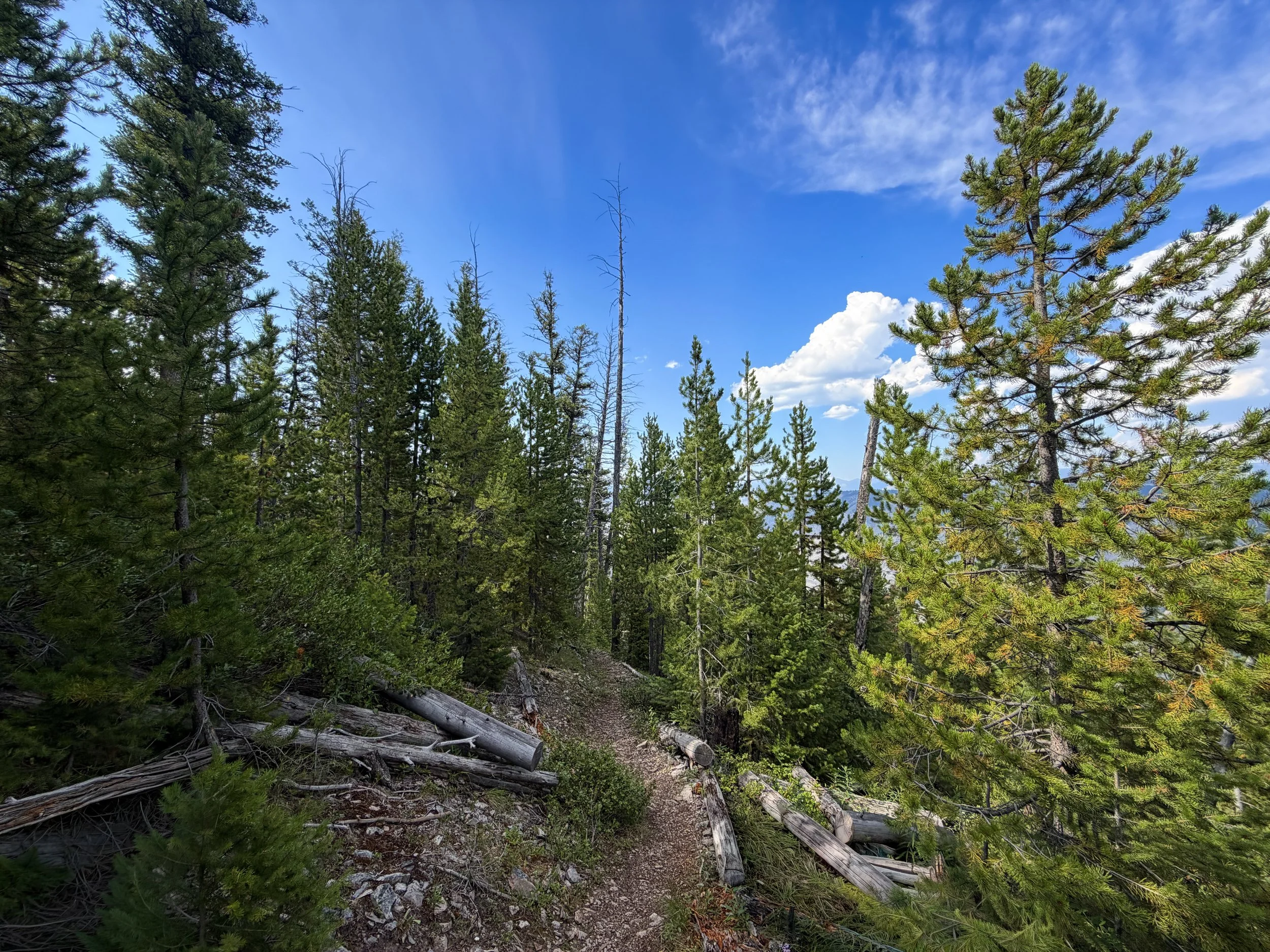 Bunsen Peak Trail Yellowstone National Park Wyoming