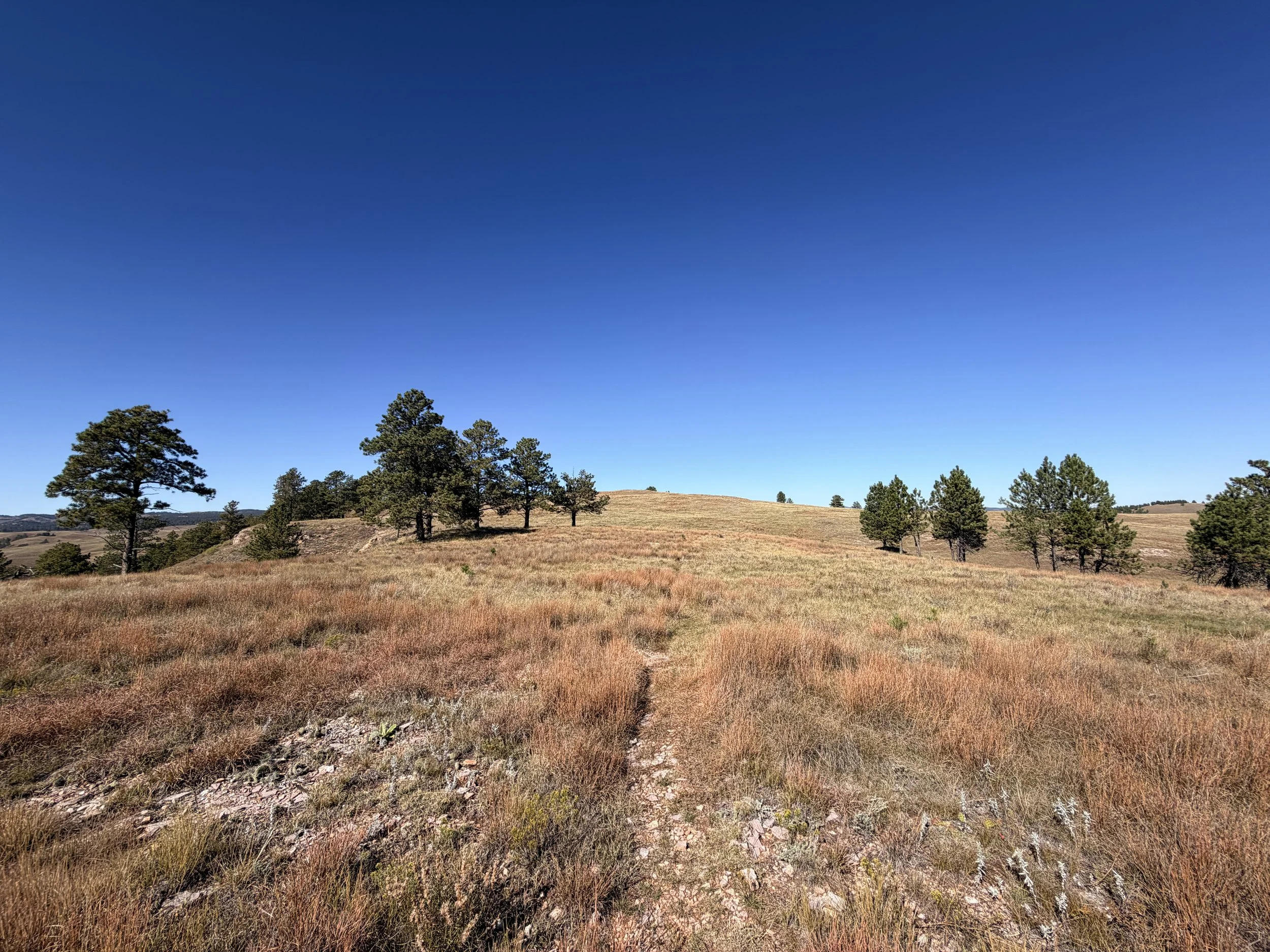 East Bison Flats Hike Wind Cave National Park South Dakota