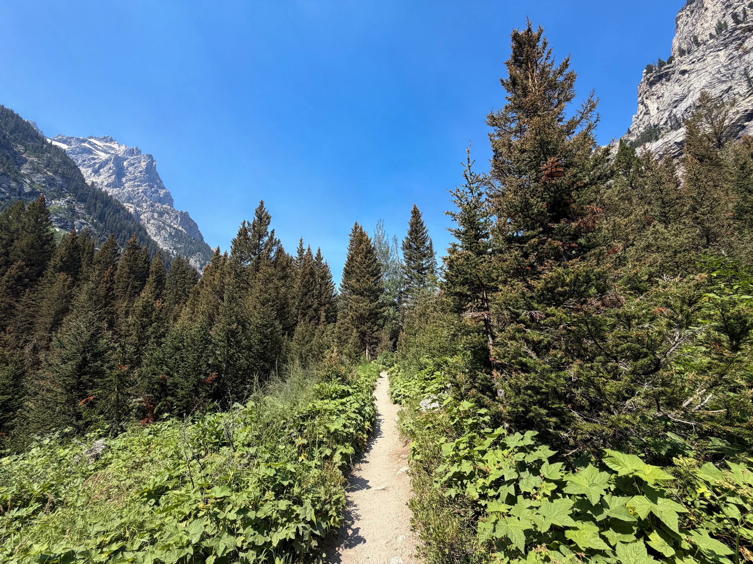 Cascade Canyon Hike Grand Teton National Park Wyoming