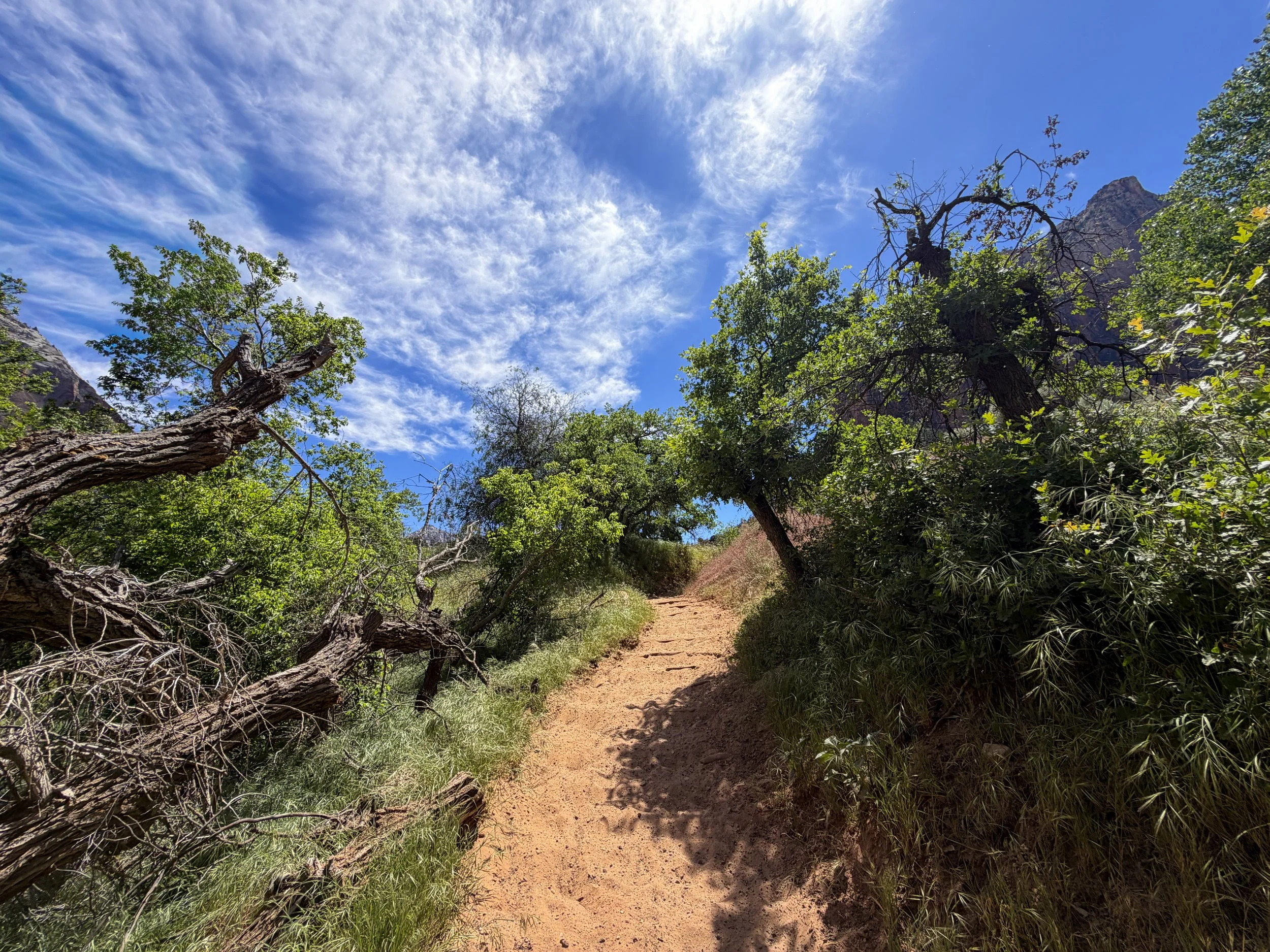 Sand Bench Trail Zion National Park Utah