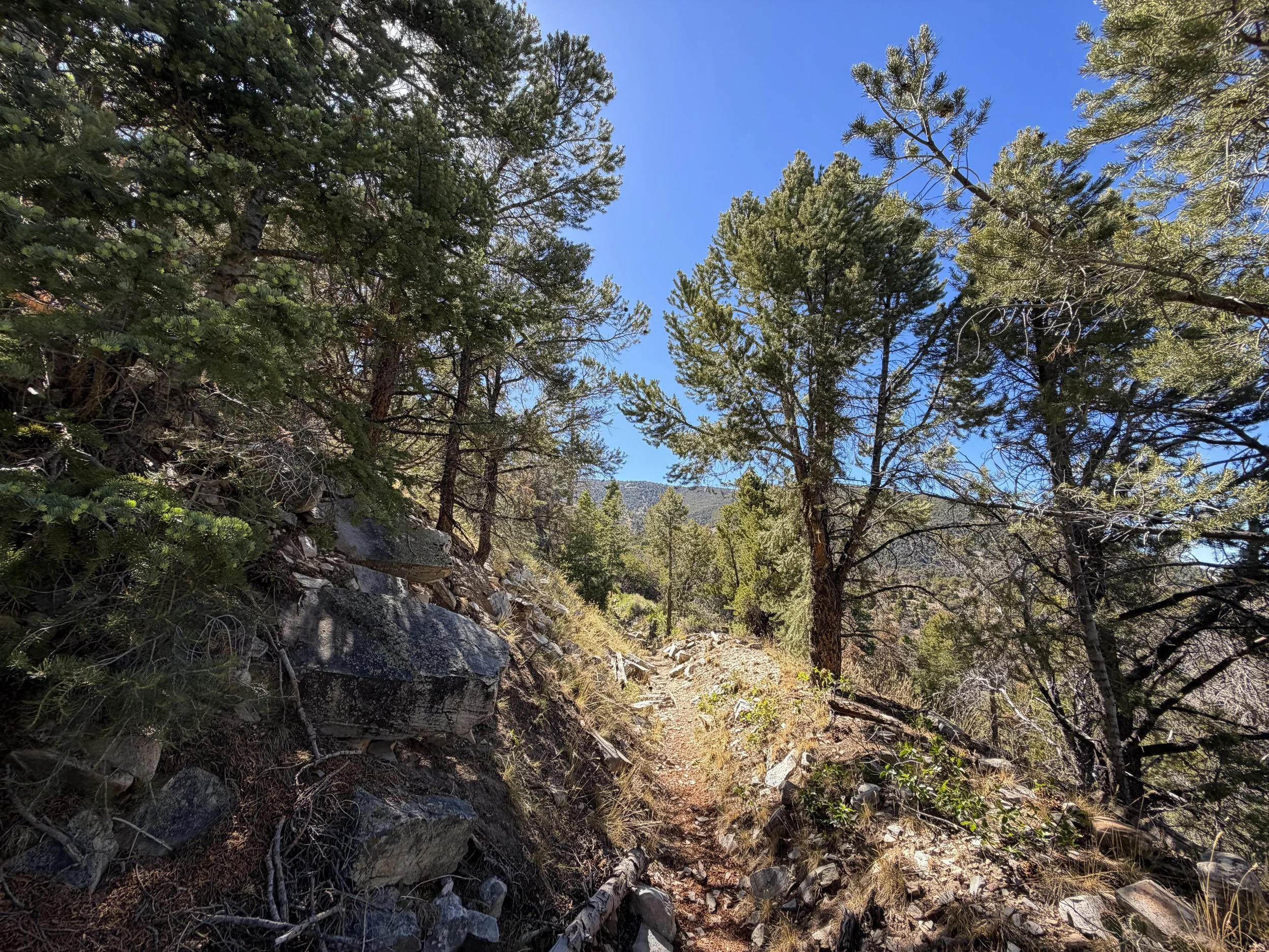 Osceola Ditch Hike Great Basin National Park Nevada
