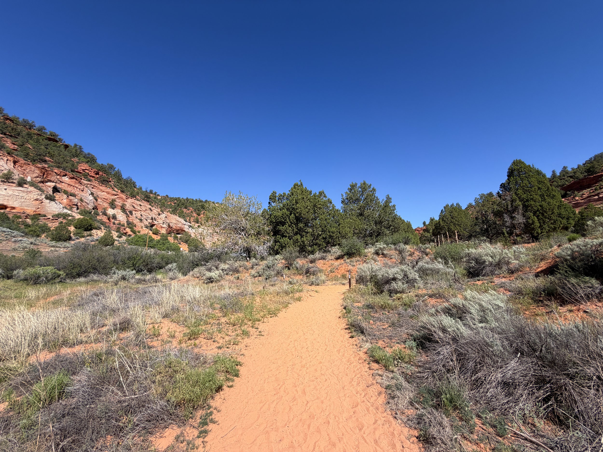 Sand Caves Trail Kanab Utah
