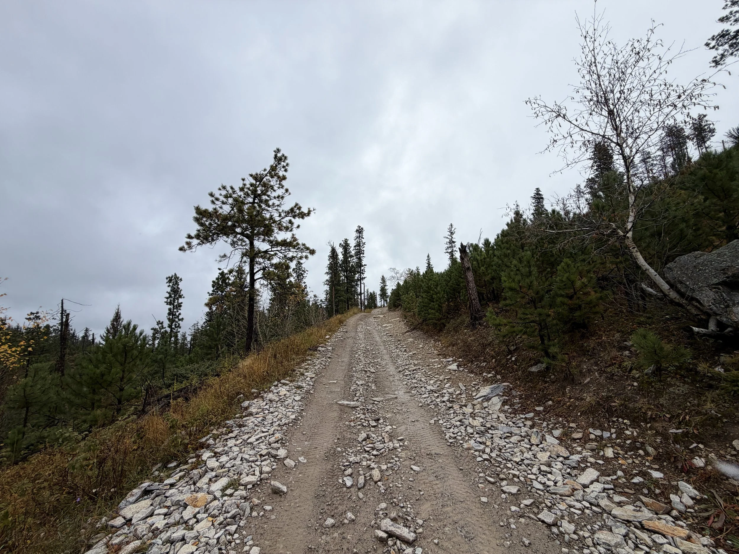 Custer Peak Hike Black Hills South Dakota