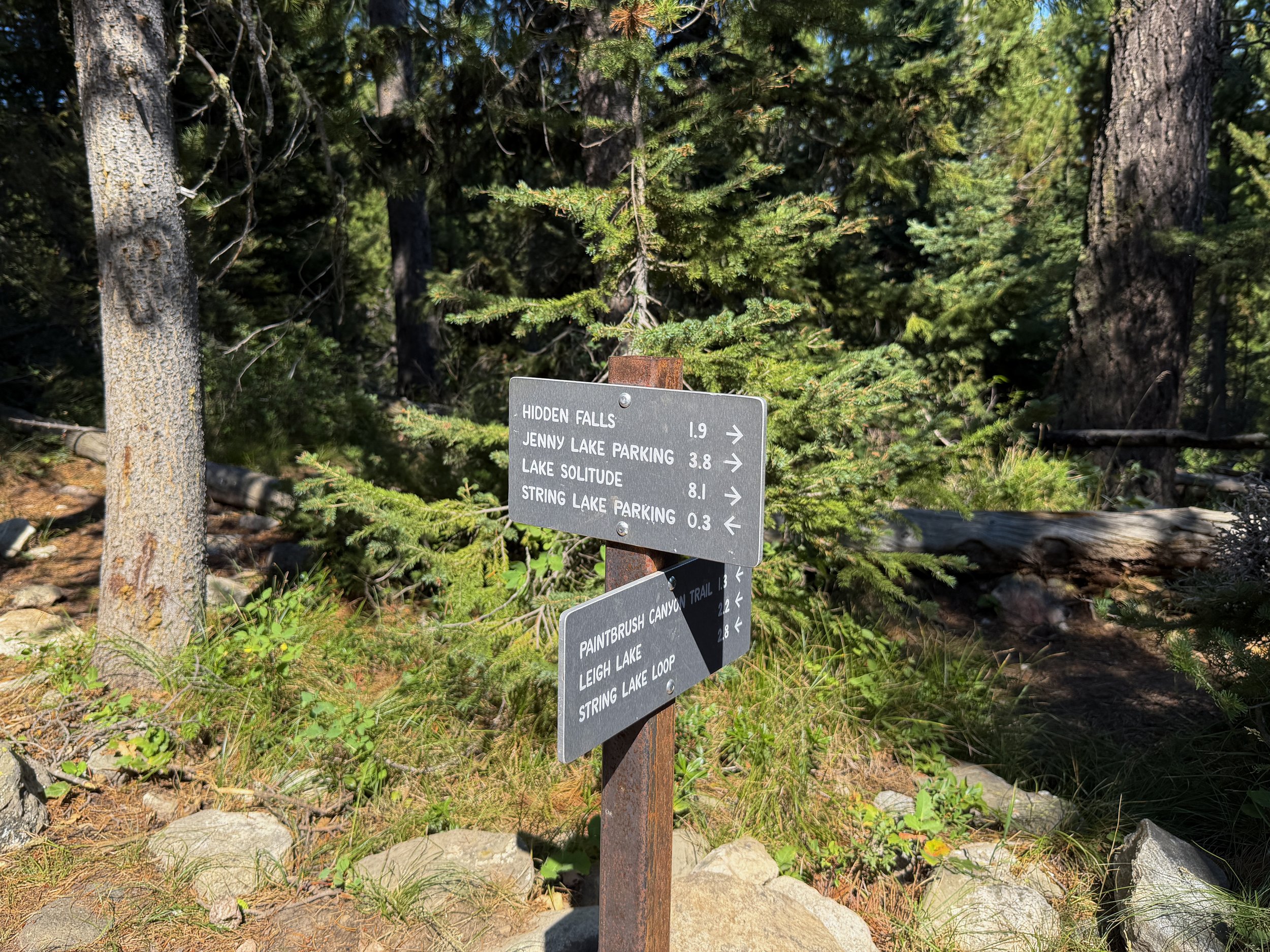 Jenny Lake Loop Hike Grand Teton National Park Wyoming