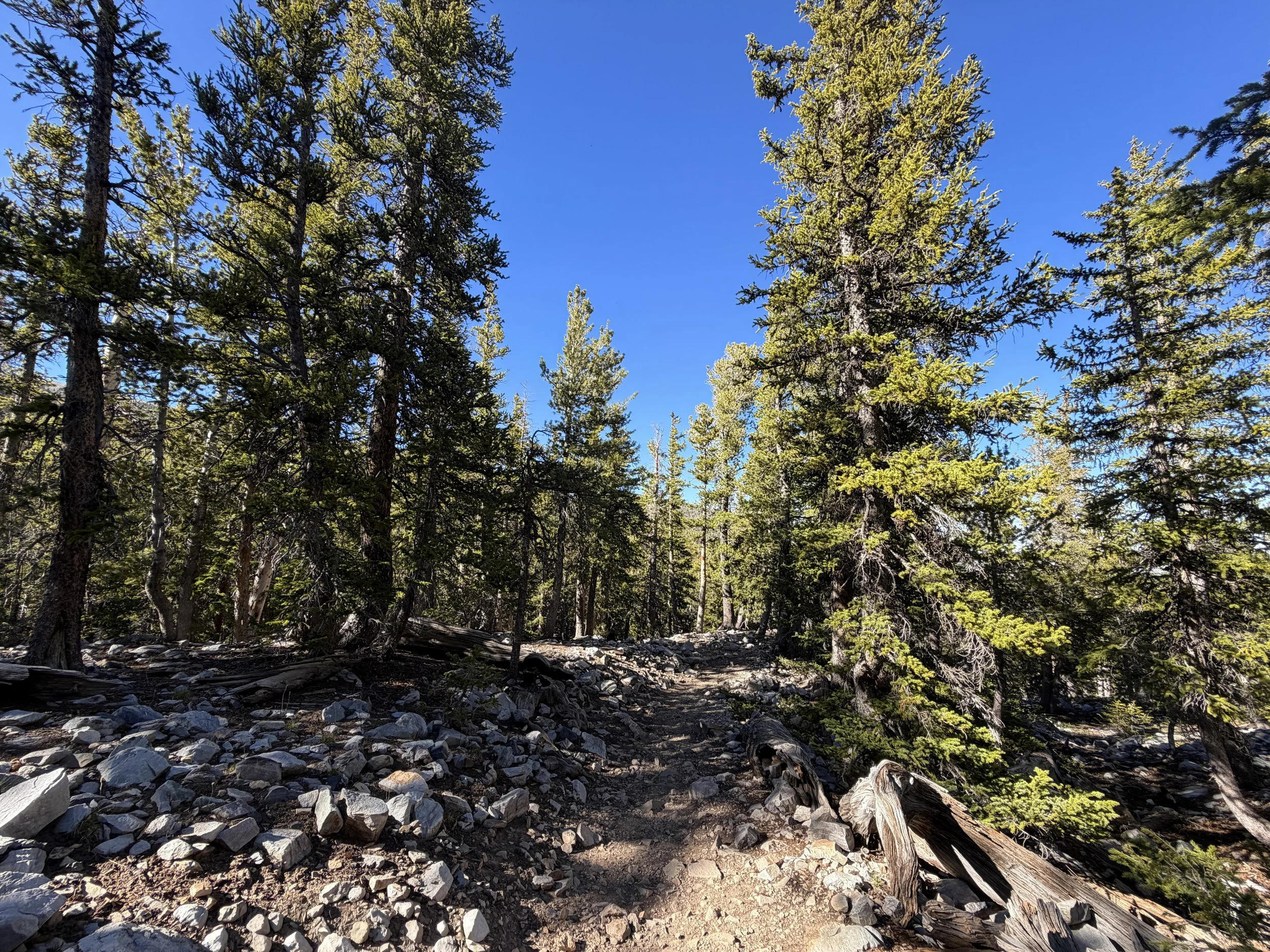Alpine Lakes Loop Trail Great Basin National Park Nevada
