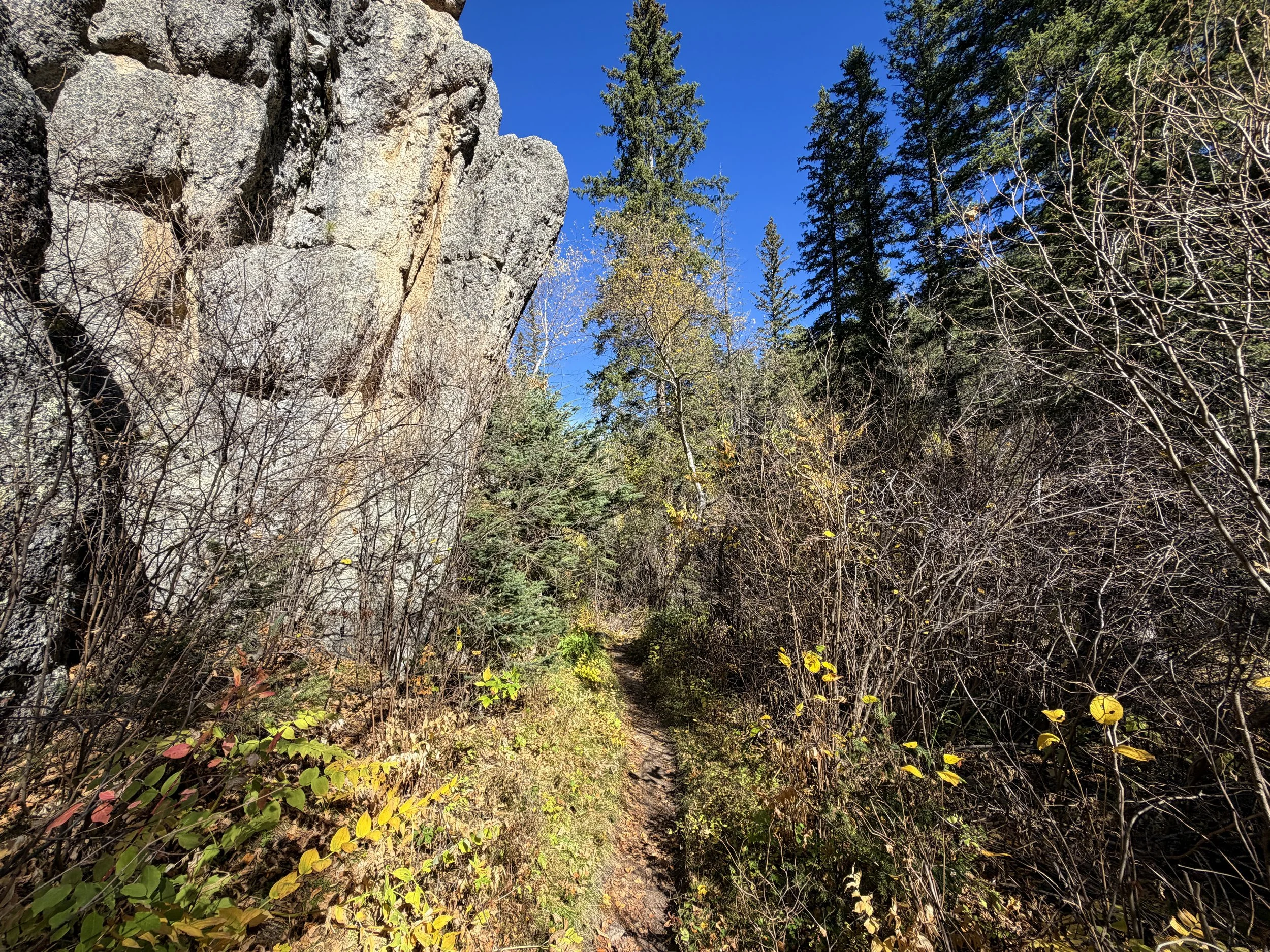 Sunday Gulch Loop Hike Custer State Park Black Hills South Dakota