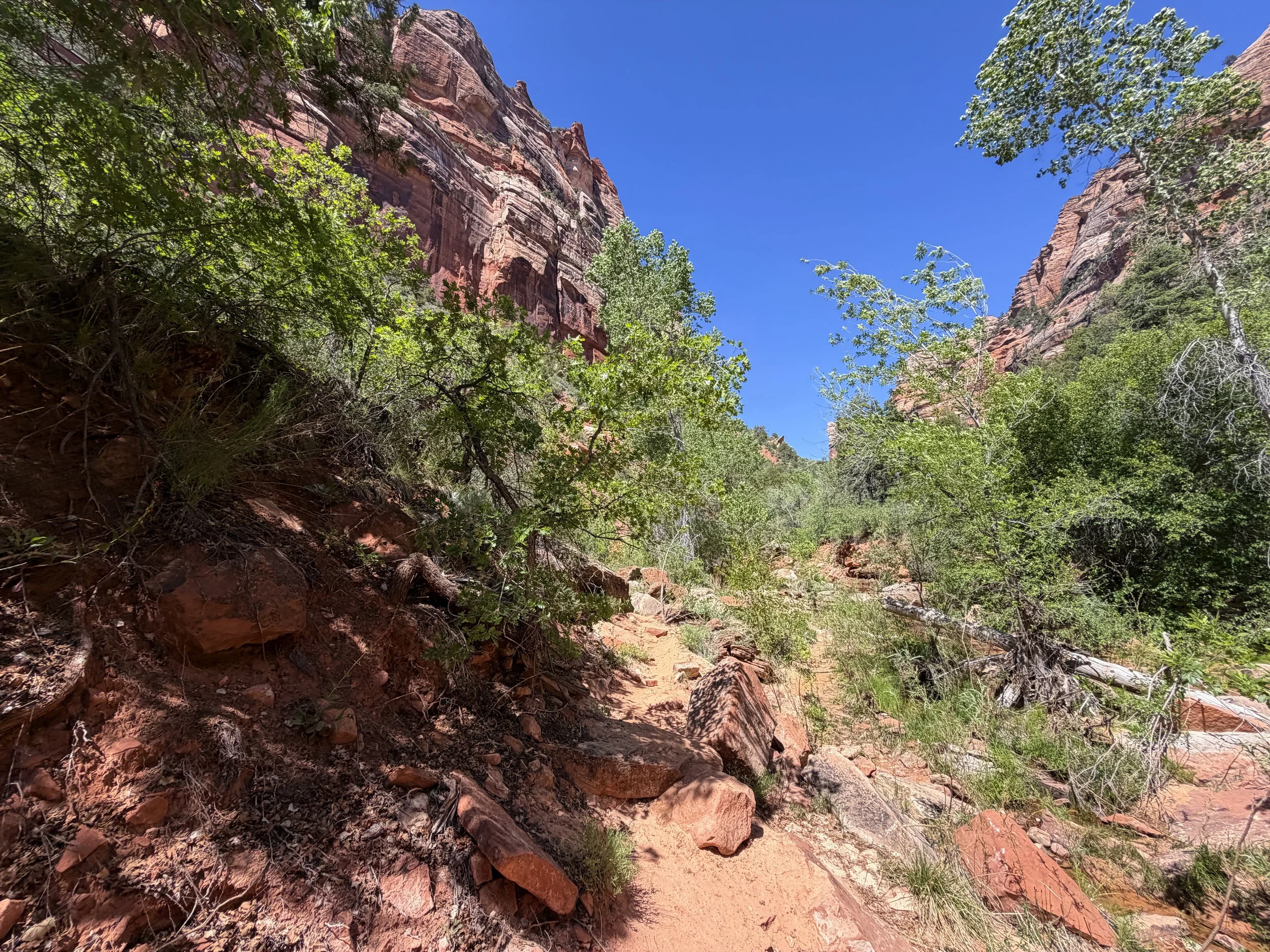 Subway Trail Zion National Park Utah
