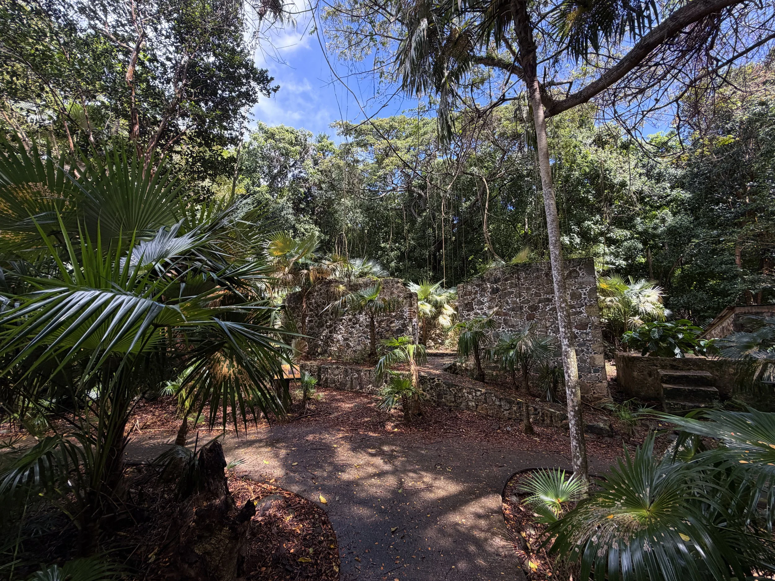 Cinnamon Bay Loop Trail Virgin Islands National Park