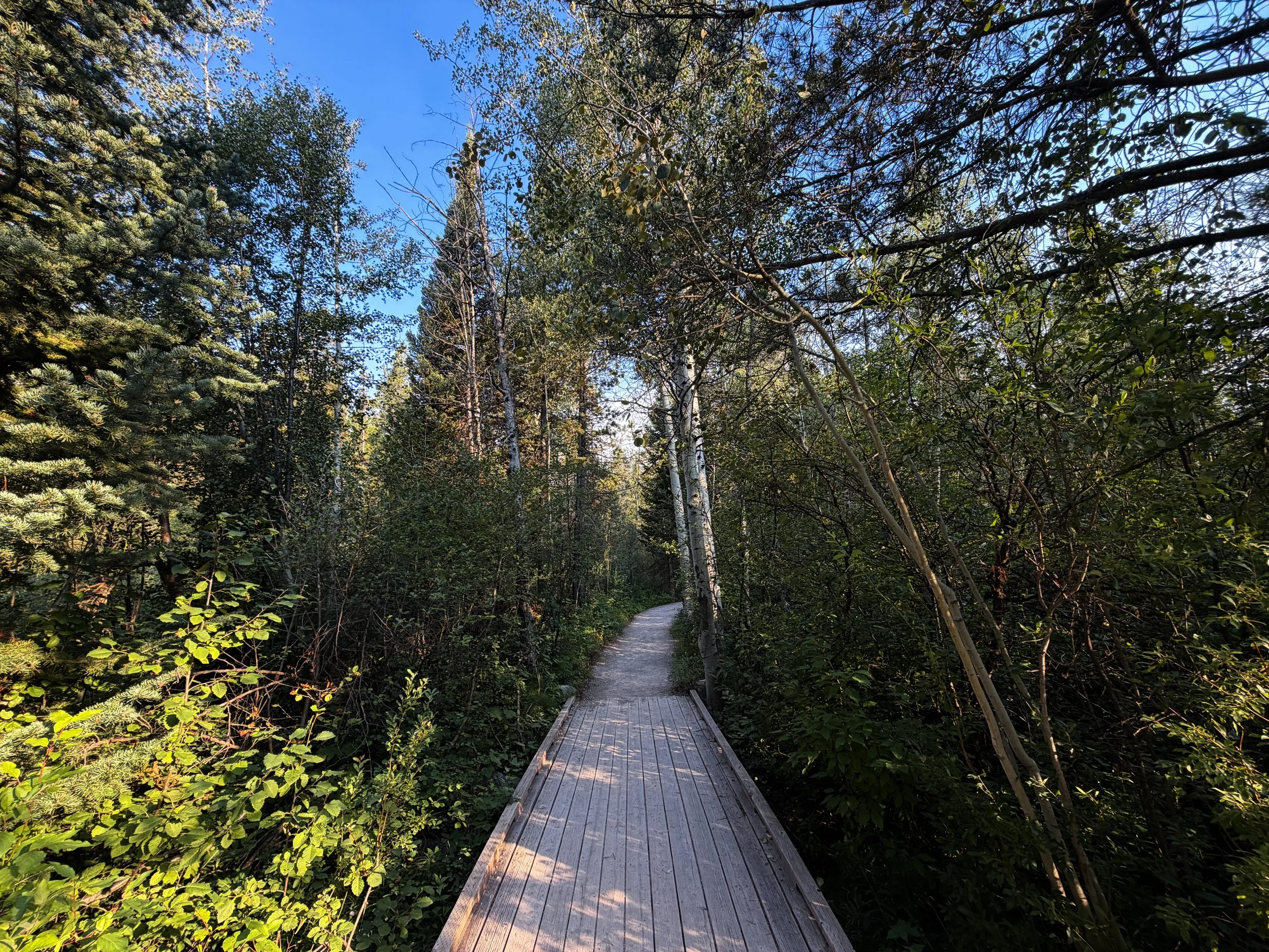 Aspen Ridge Trail Grand Teton National Park Wyoming