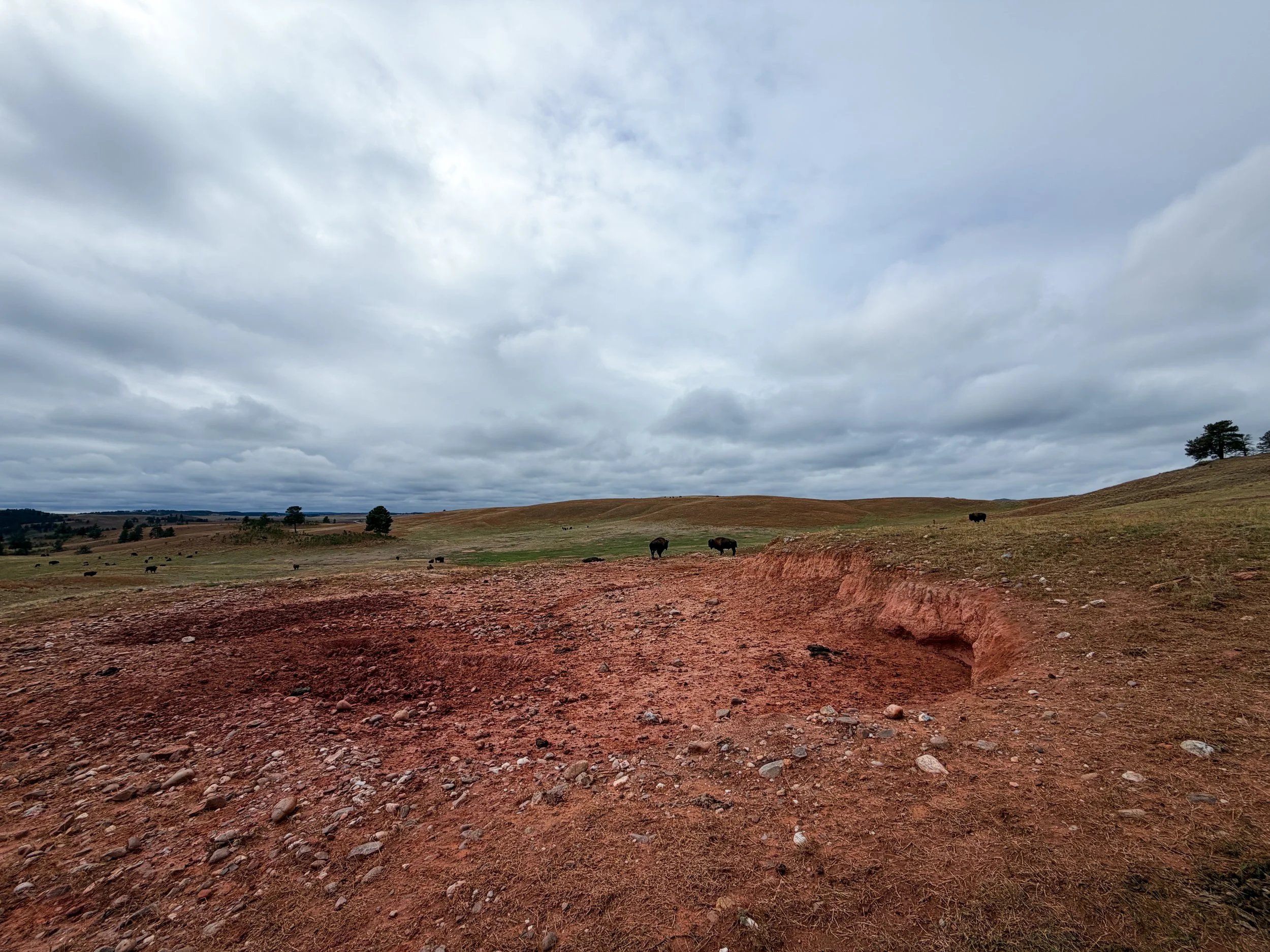 Bison Wallow Highland Creek Trail Wind Cave National Park South Dakota