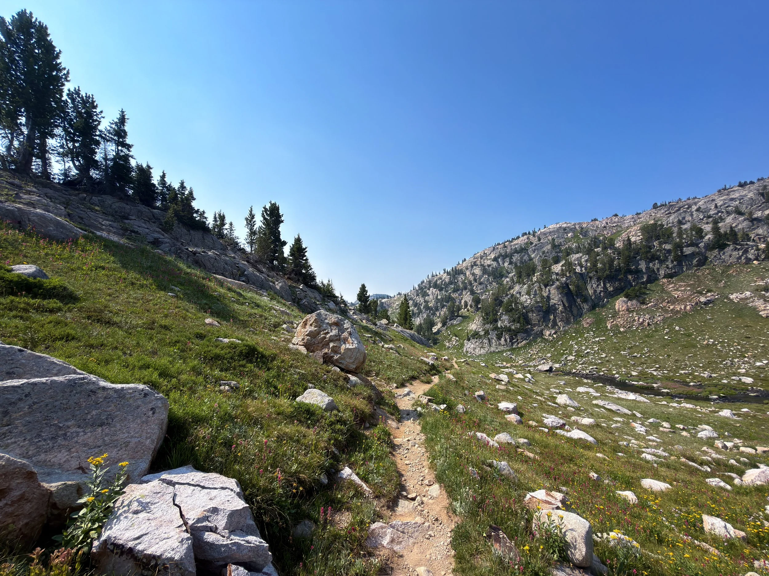 Russel Creek Trail The Beaten Path Beartooth Mountains Montana
