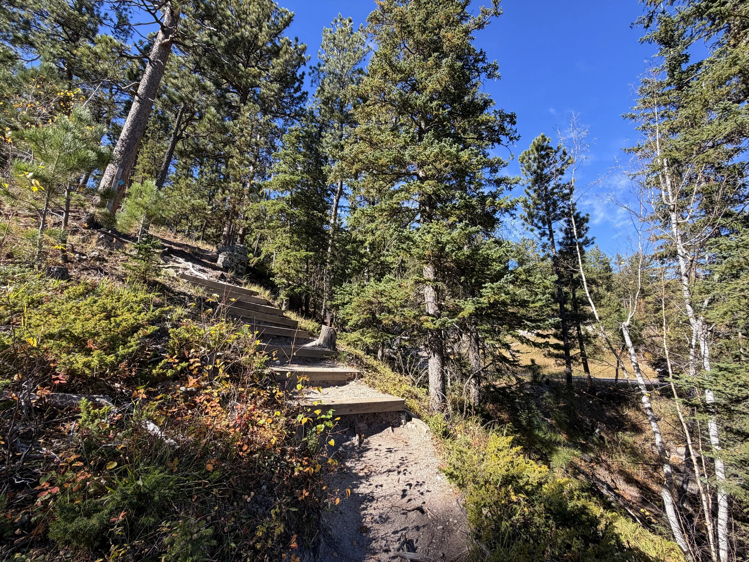 Sunday Gulch Loop Trail Custer State Park Black Hills South Dakota