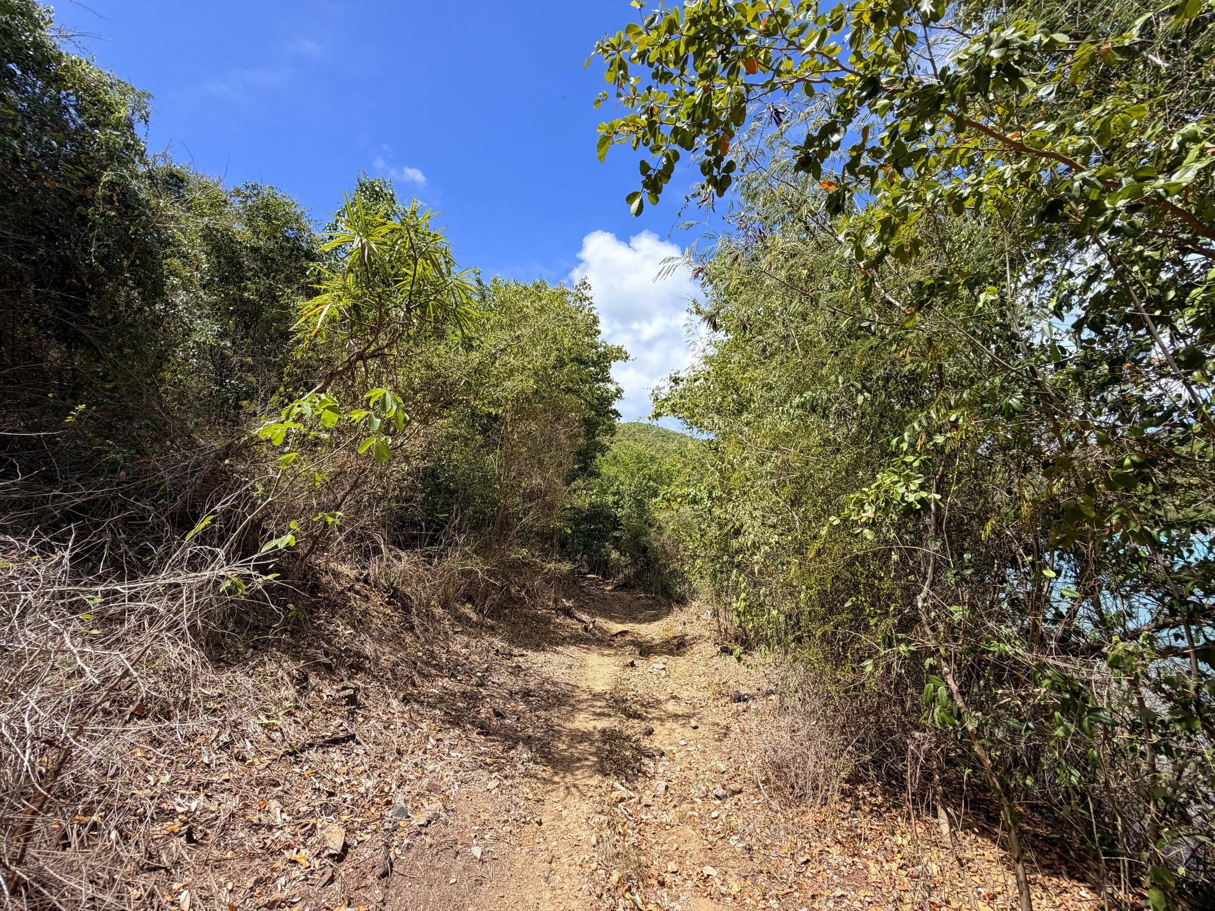 Brown Bay Hike Virgin Islands National Park