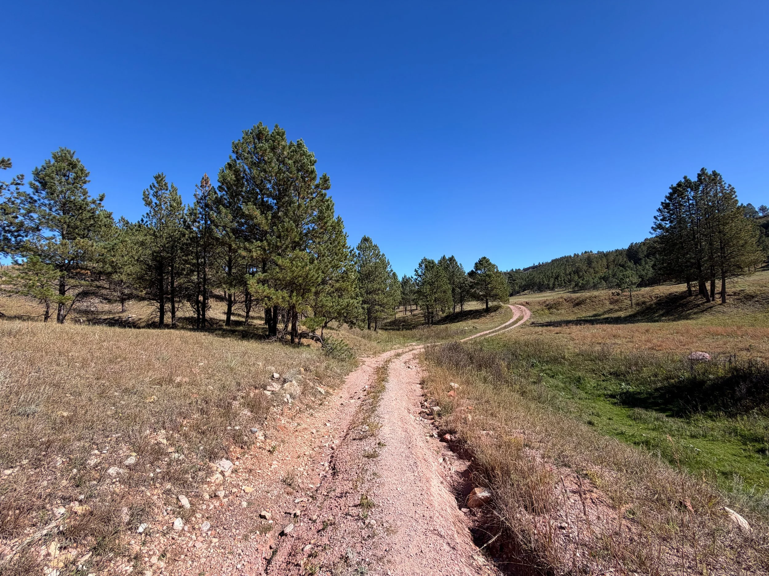 Wind Cave Canyon Trail Wind Cave National Park South Dakota