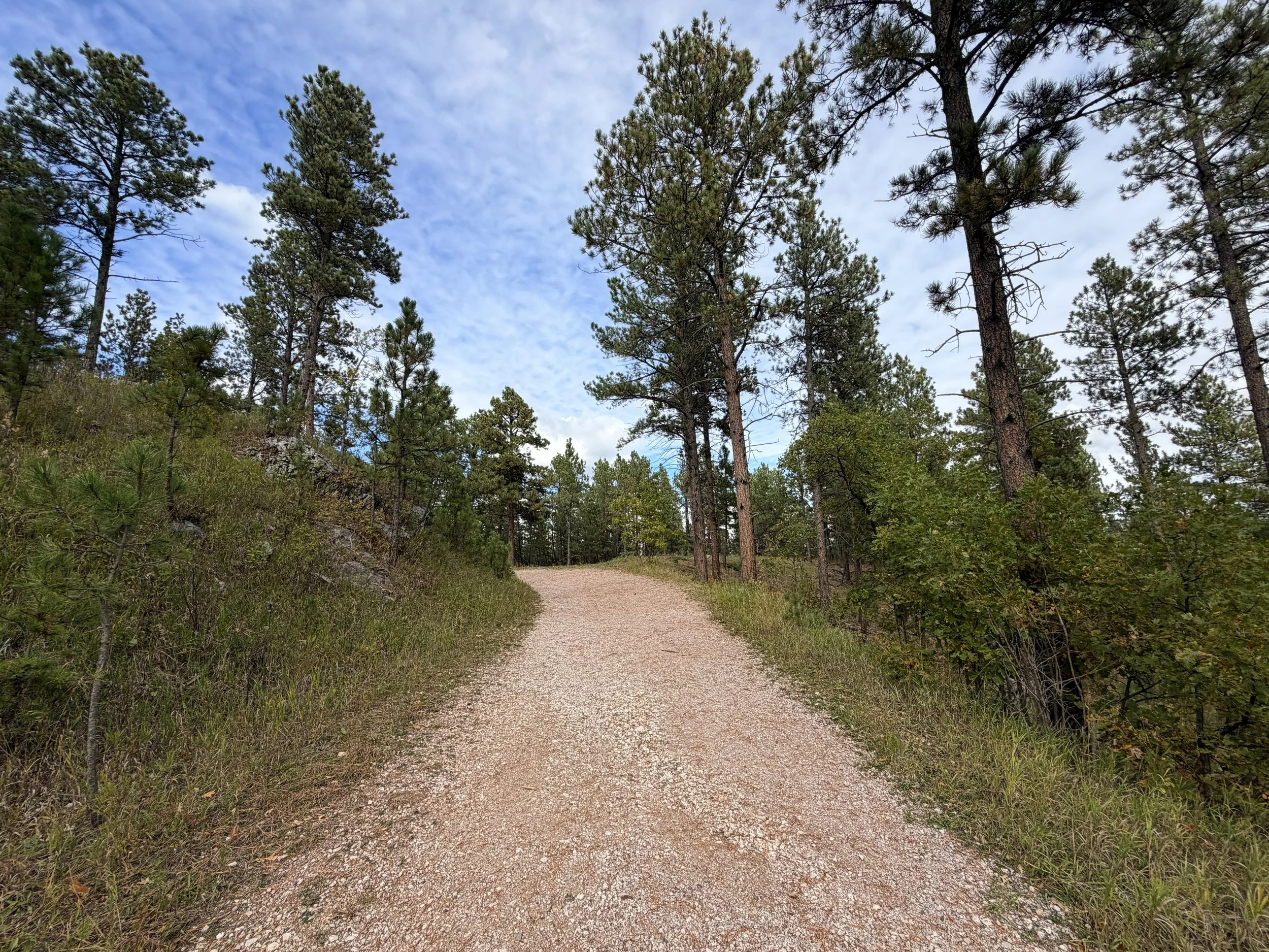 Stratobowl Rim Trail Black Hills South Dakota
