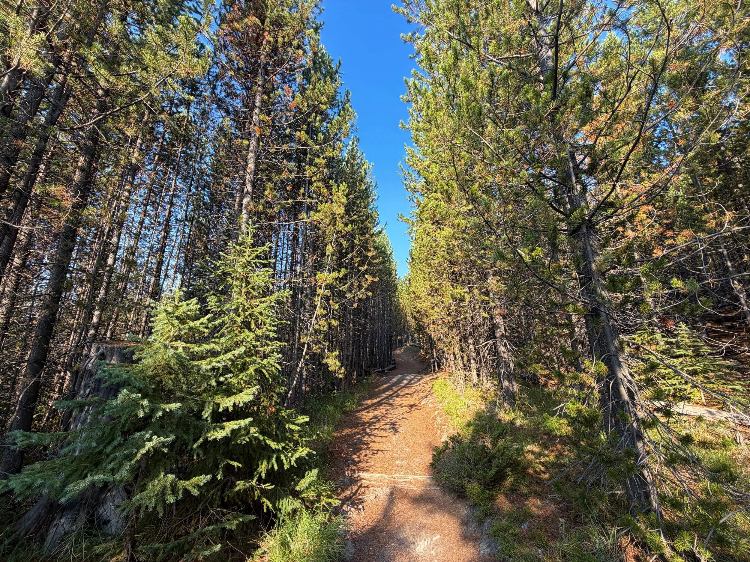 Mystic Falls Hike Yellowstone National Park Wyoming