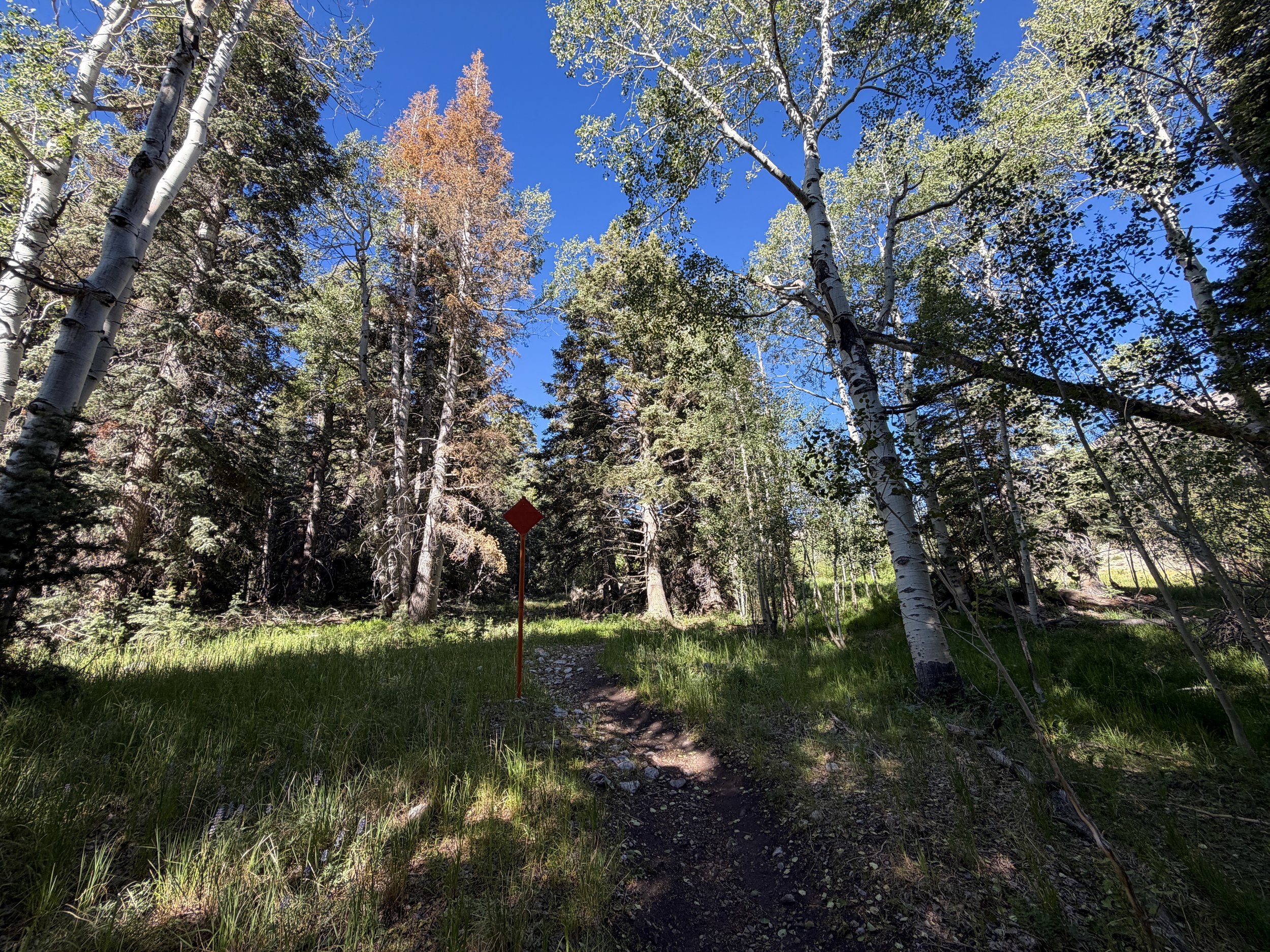 Baker Lake Trail Great Basin National Park Nevada
