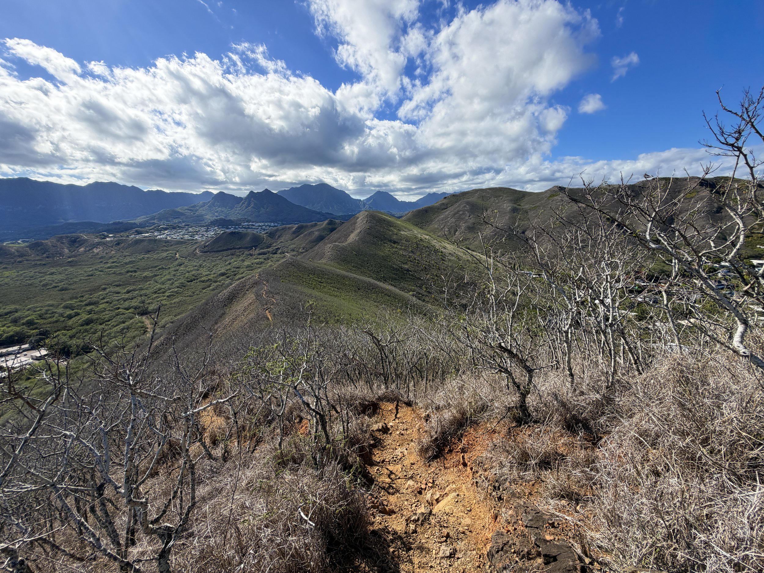 Back Kaiwa Ridge Trail Oahu Hawaii