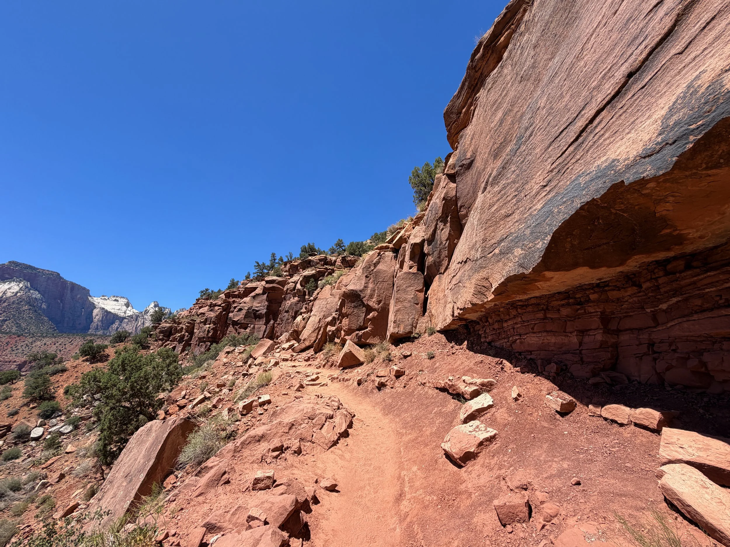 Watchman Trail Switchbacks Zion National Park Utah
