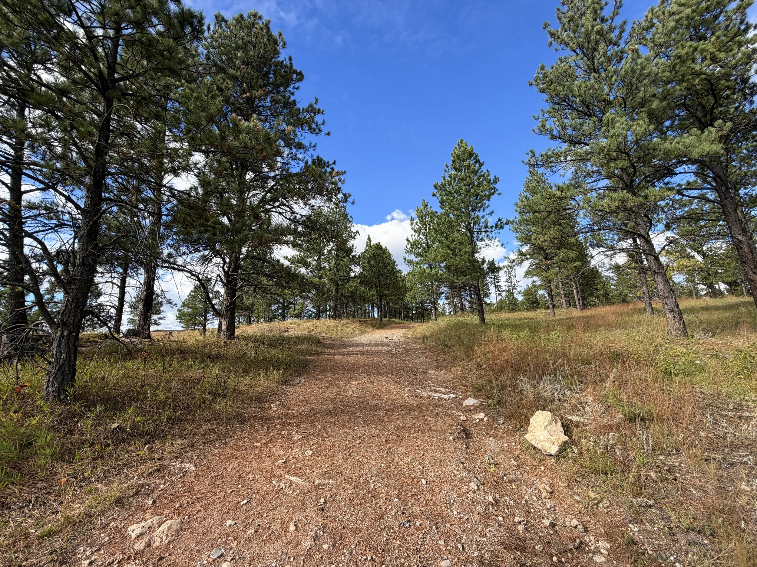 Stratobowl Rim Hike Black Hills South Dakota