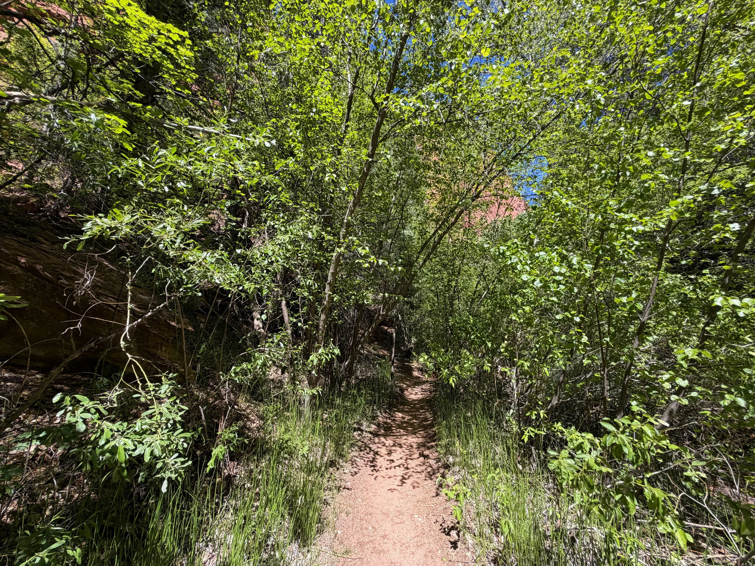 Taylor Creek Trail Zion National Park Utah