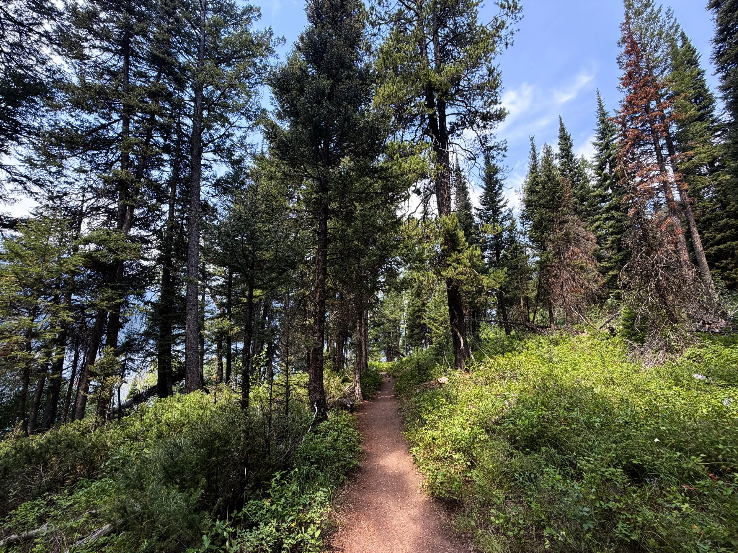 Phelps Lake Trail to Cliff Jumping Rock Grand Teton National Park Wyoming