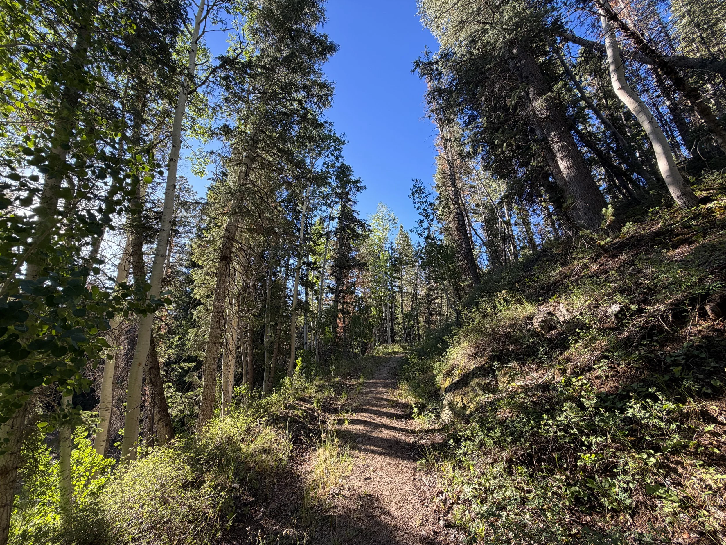 Snake Creek Overlook Trail Great Basin National Park Nevada