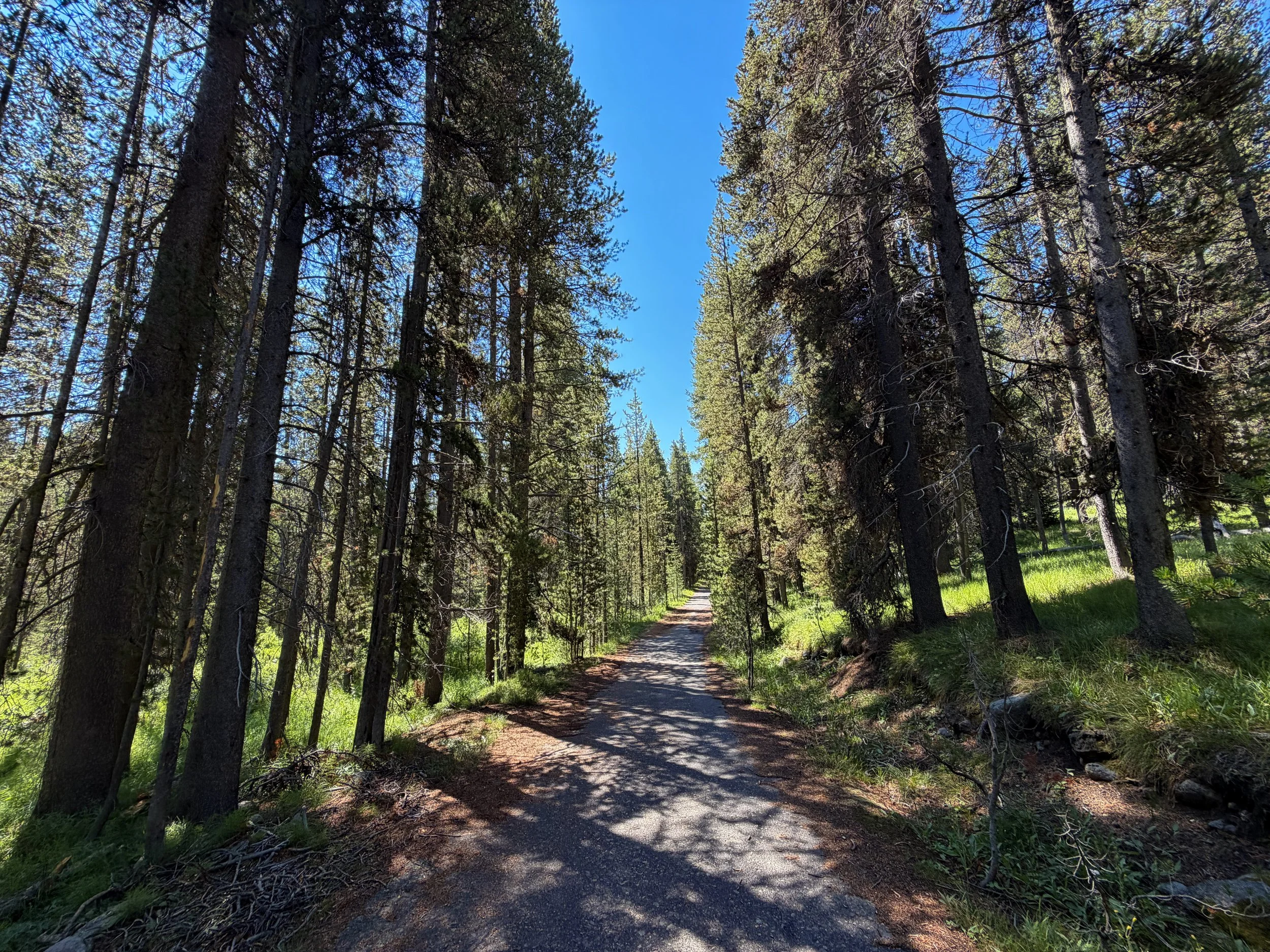 Lone Star Trail Yellowstone National Park Wyoming