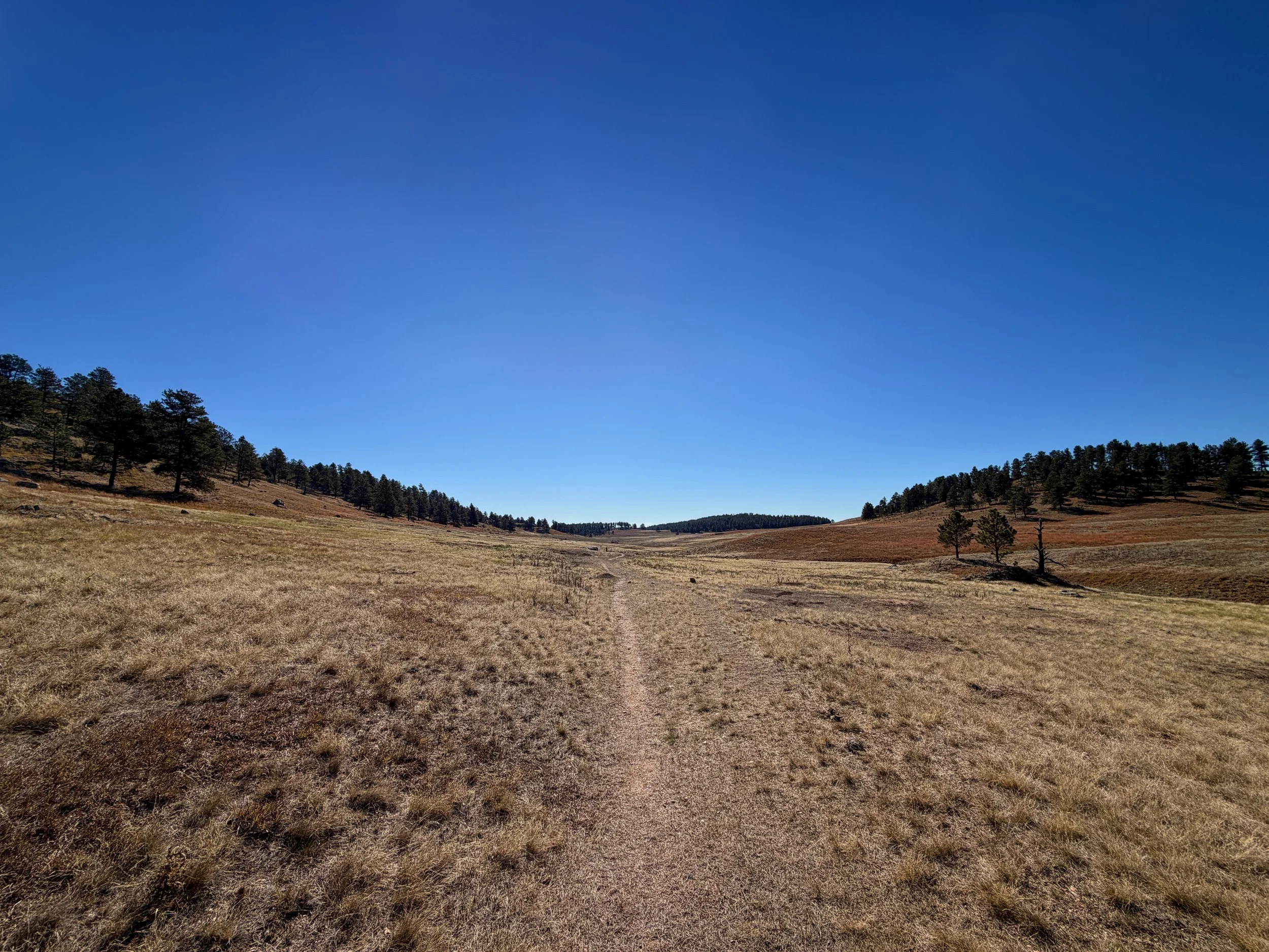 Sanctuary Trail Wind Cave National Park South Dakota