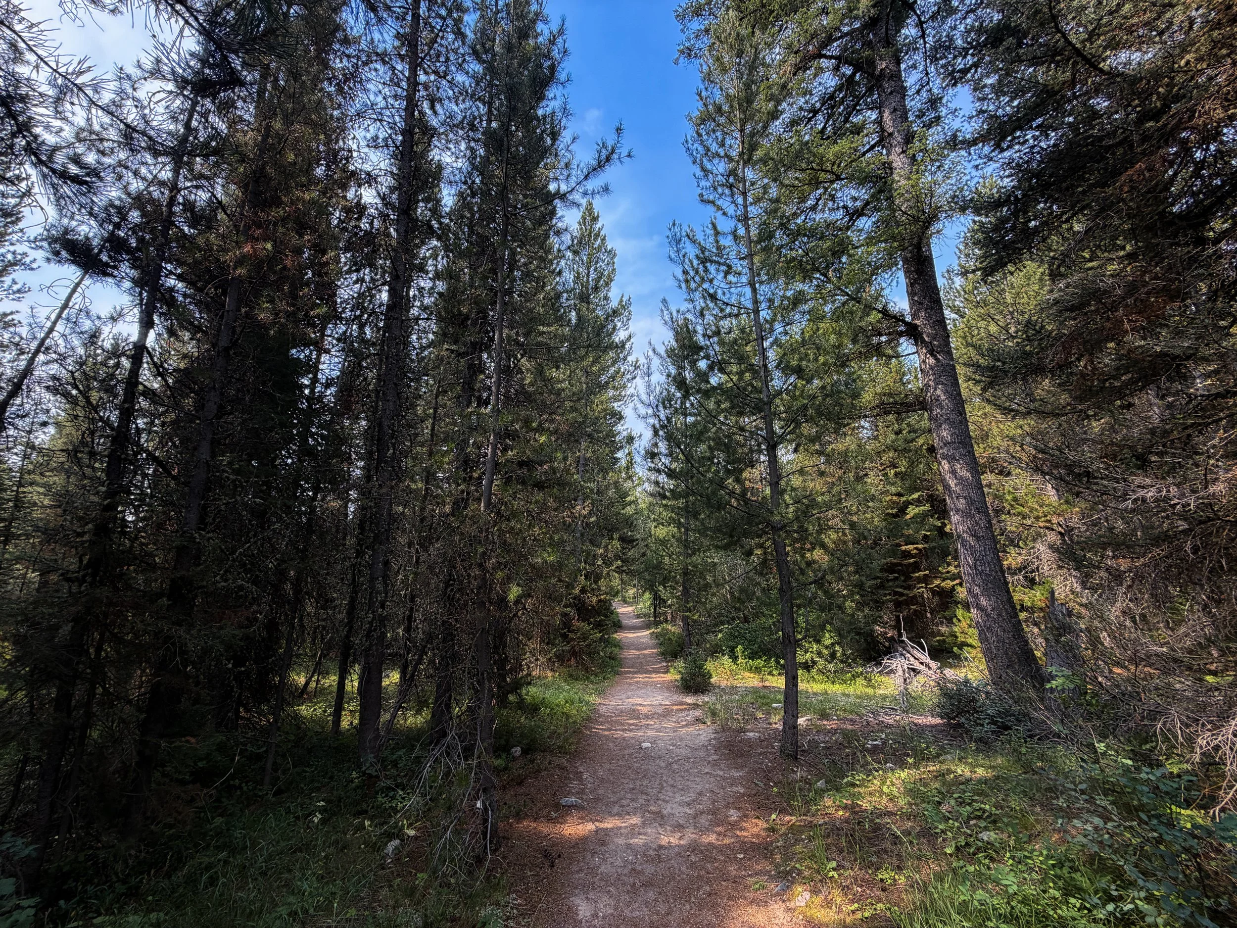 Boulder Ridge Trail Grand Teton National Park Wyoming