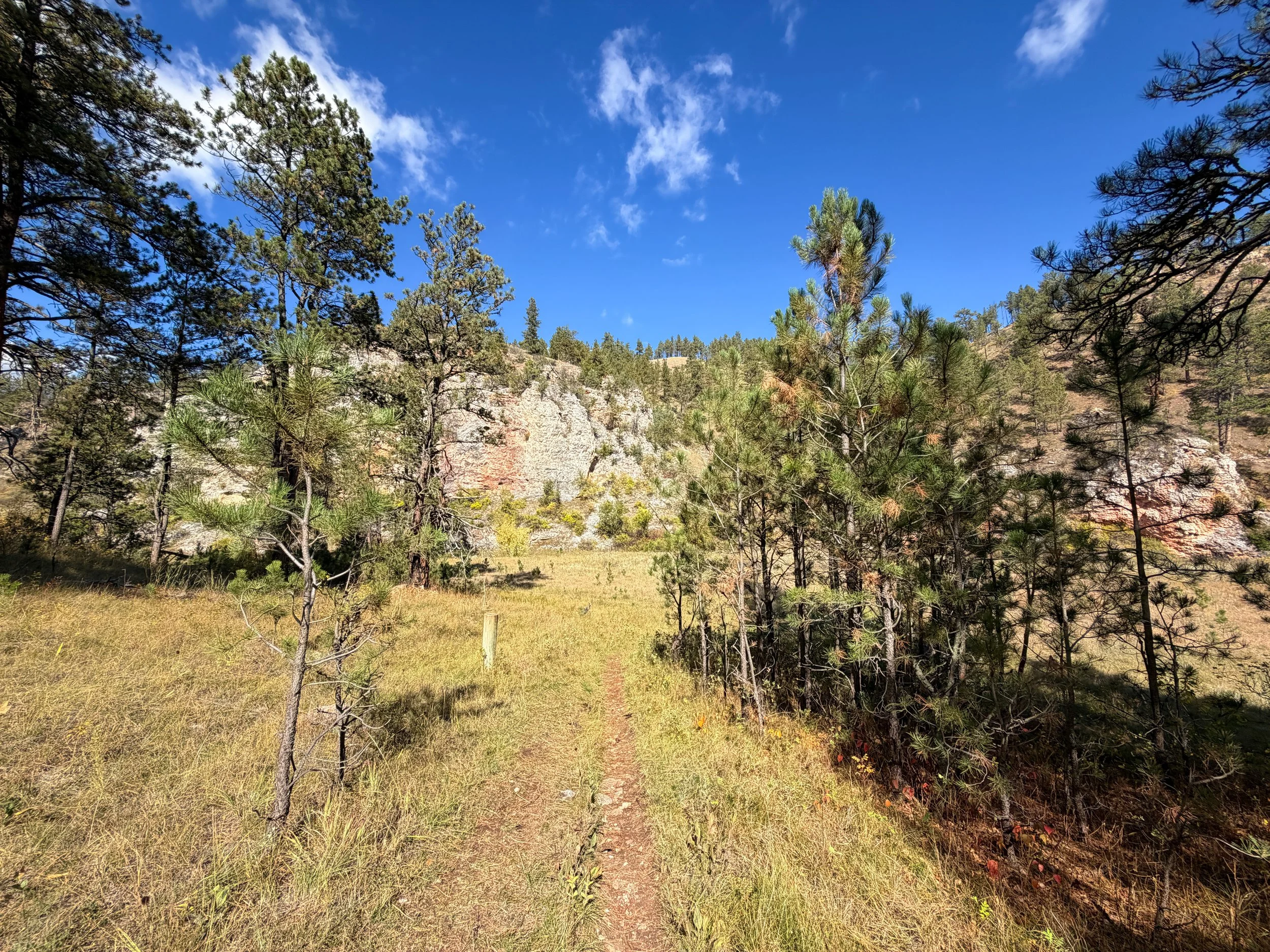 Lookout Point Loop Trail Wind Cave National Park South Dakota