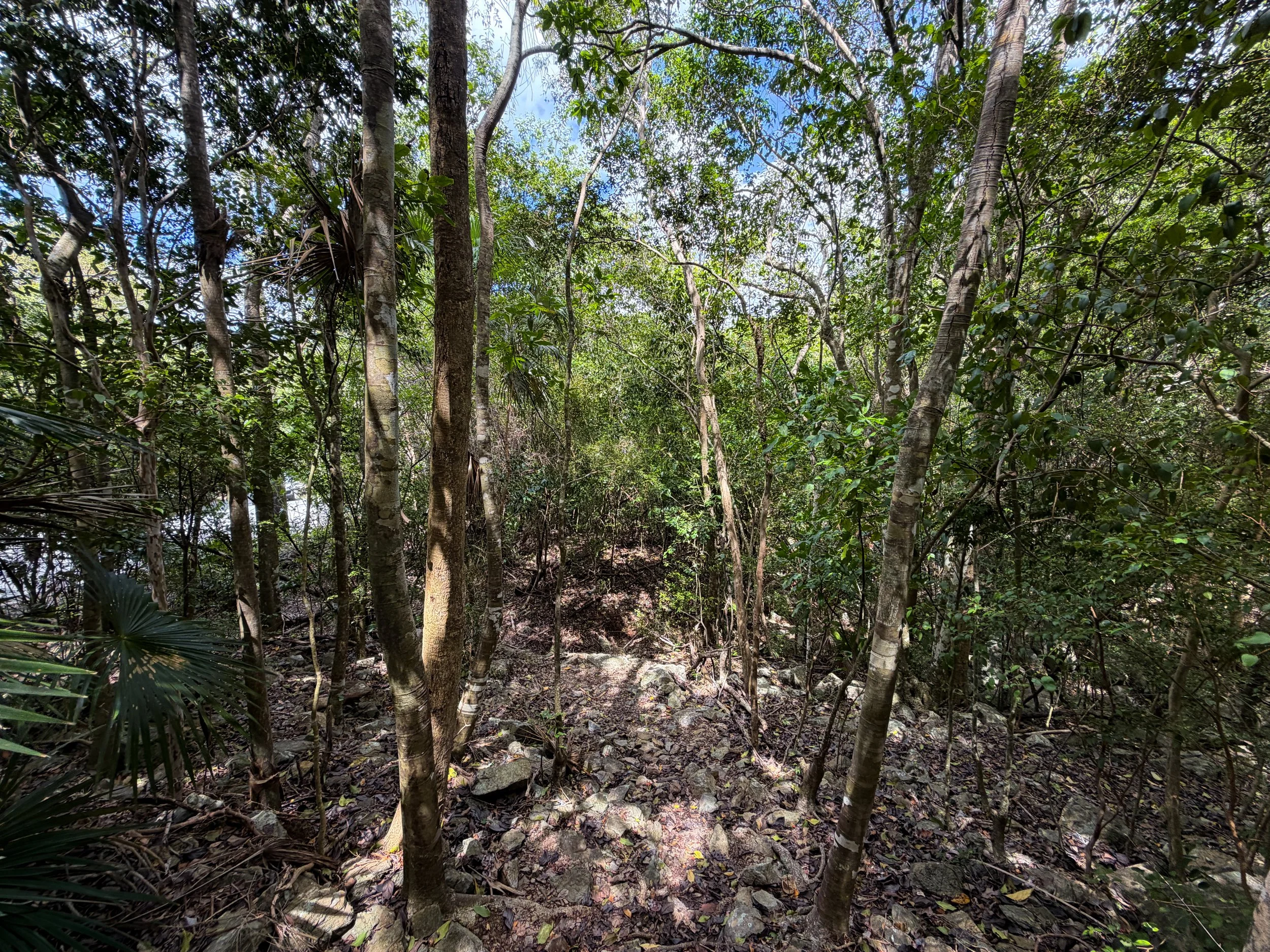 Maria Hope Trail Virgin Islands National Park