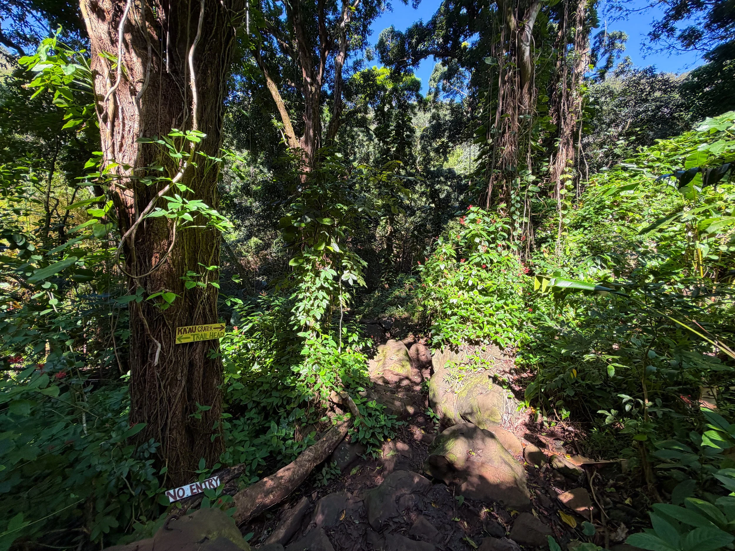 Kaau Crater Trail Oahu Hawaii