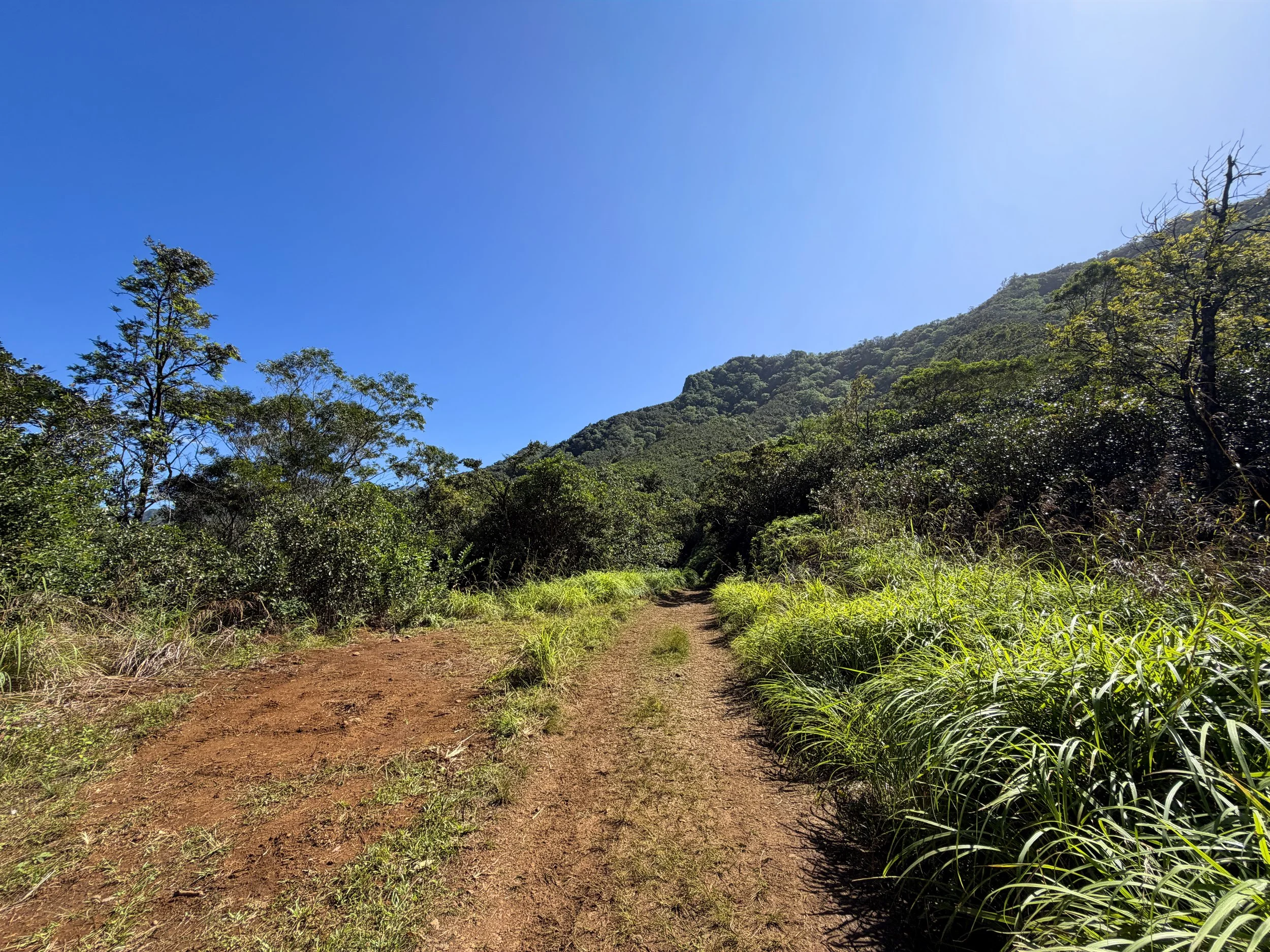 Tripler Ridge Trail via Kamananui Valley Road Oahu Hawaii