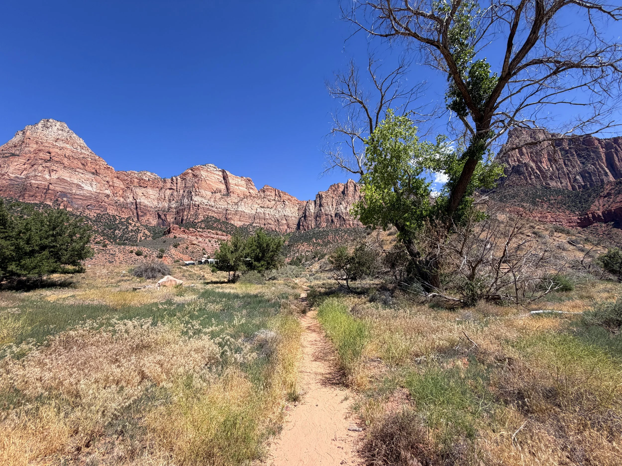 Archaeology Trail Zion National Park Utah