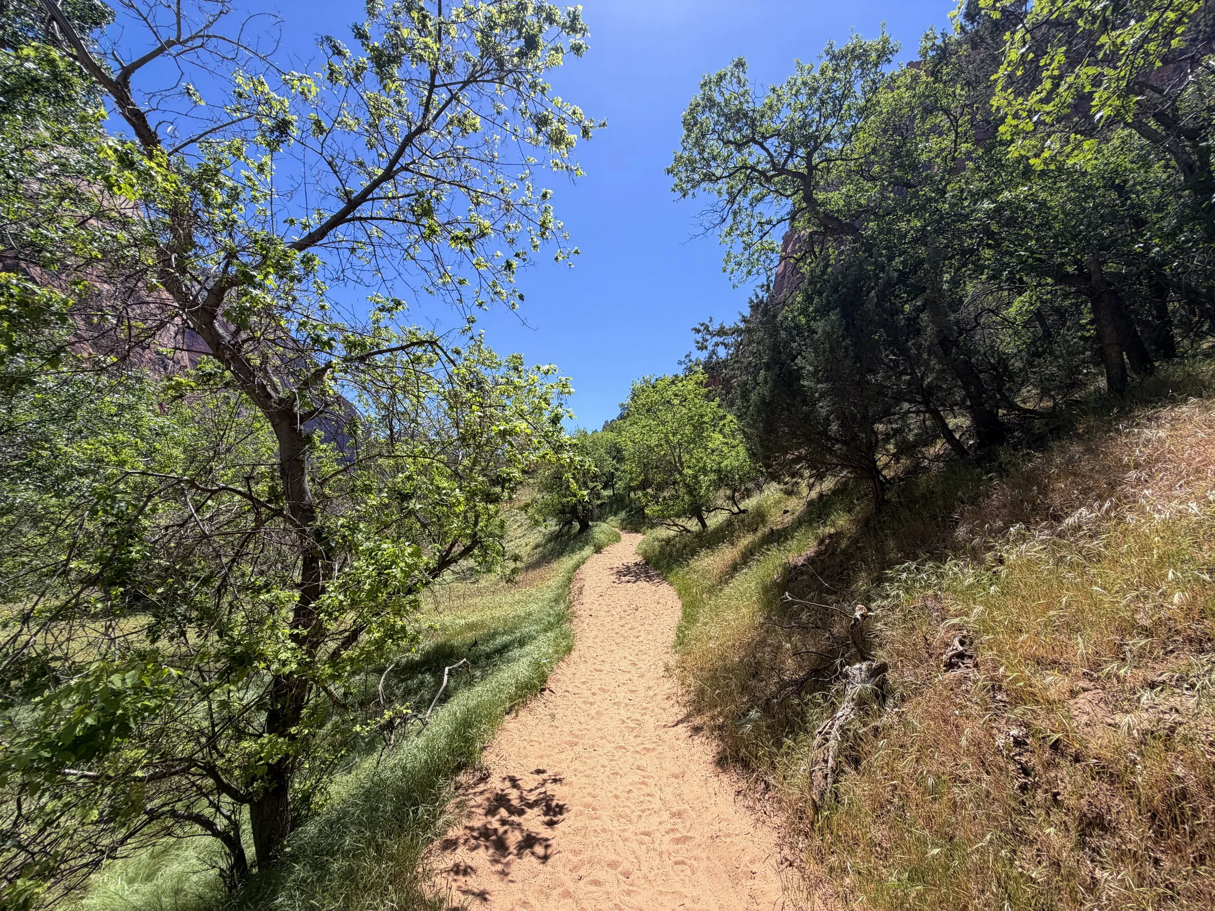 Sand Bench Loop Trail via Zion Lodge Zion National Park Utah