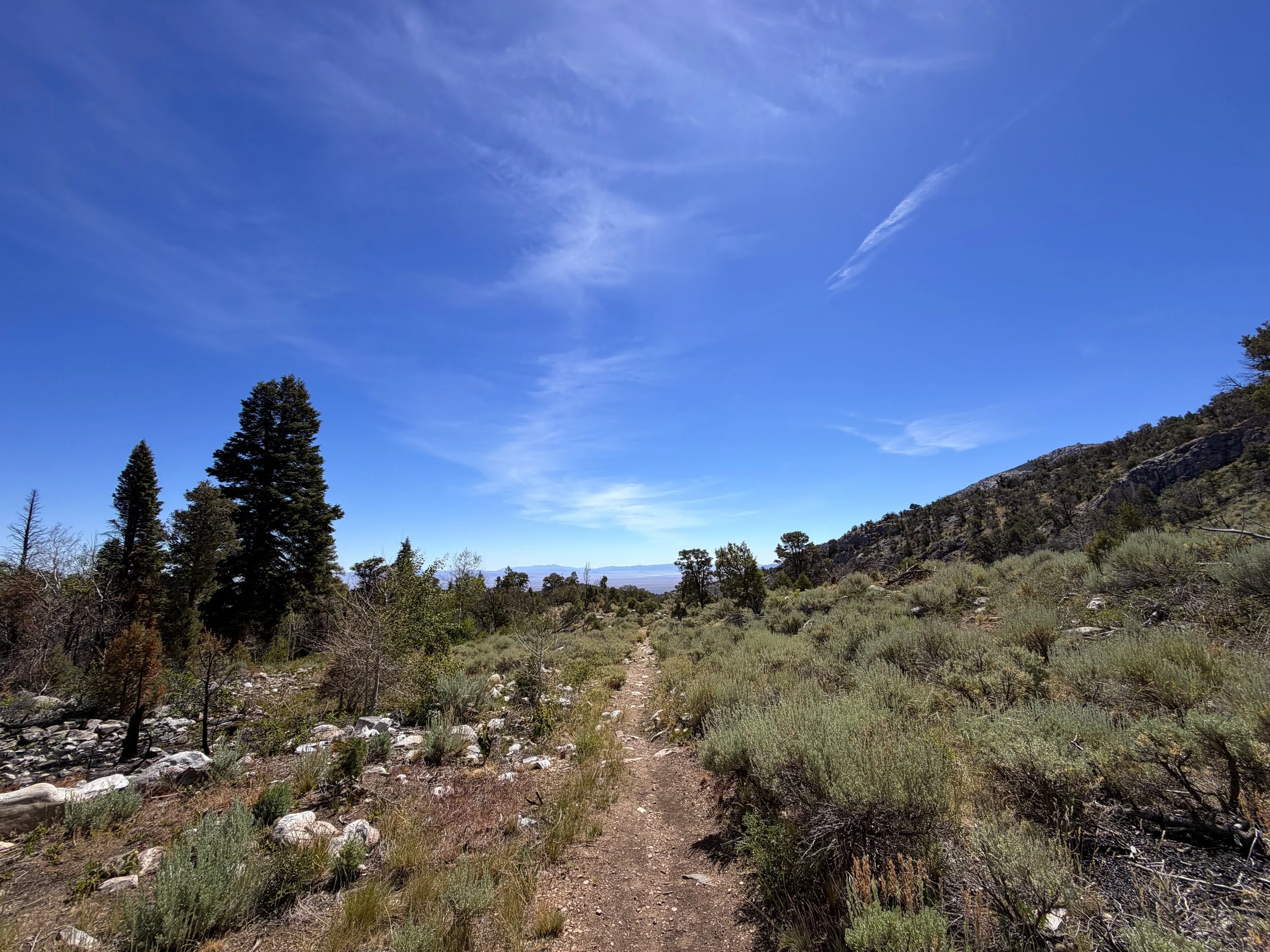 Pole Canyon Trail Great Basin National Park Nevada