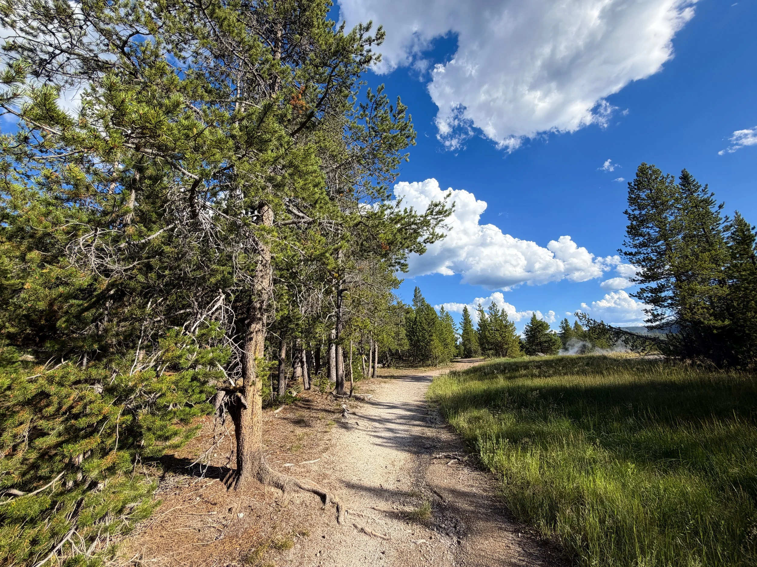 Artemisia Trail to the Morning Glory Pool Yellowstone National Park Wyoming