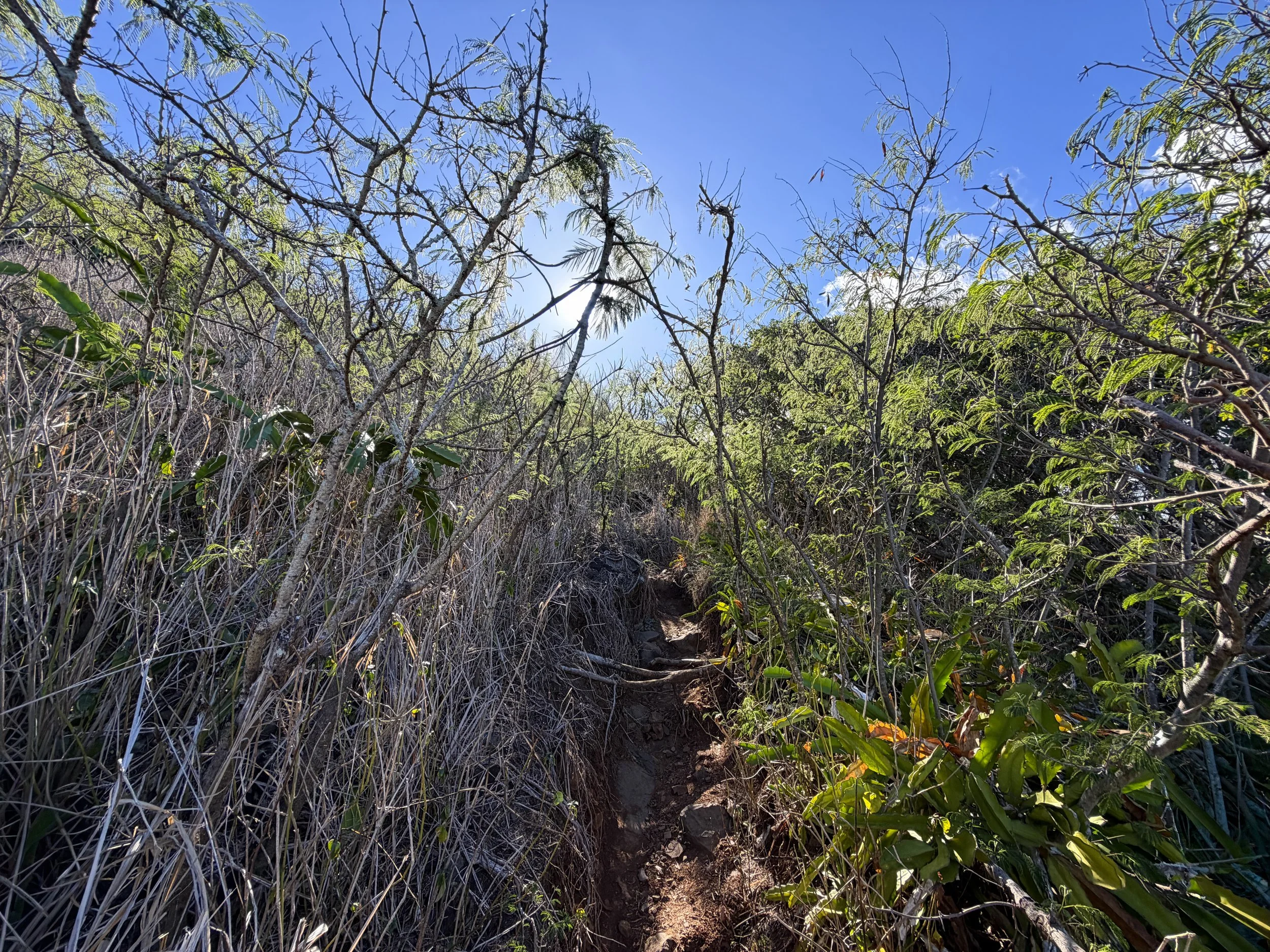 Back Lanikai Pillbox Trail Oahu Hawaii