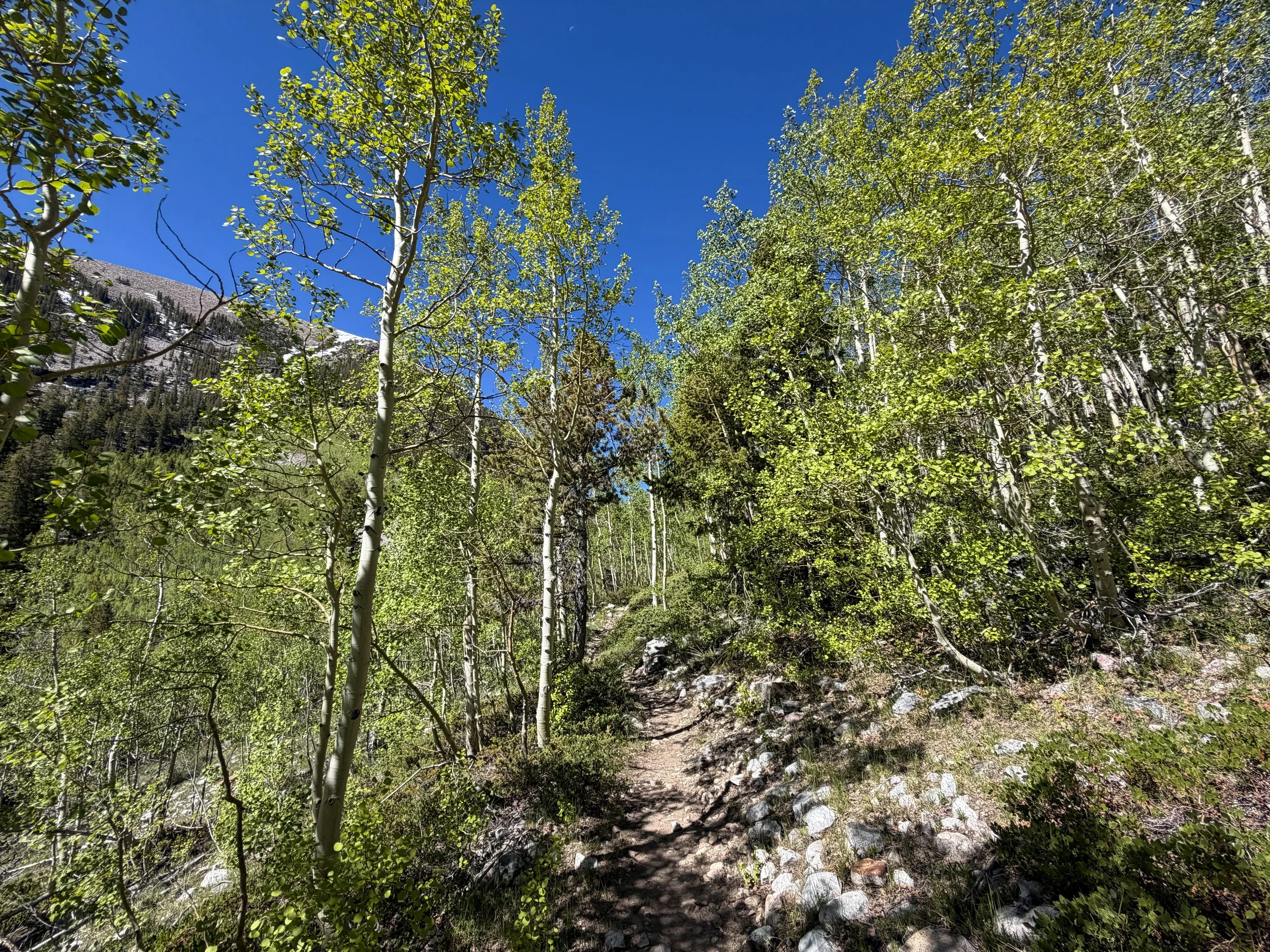 Baker Lake Trail Great Basin National Park Nevada