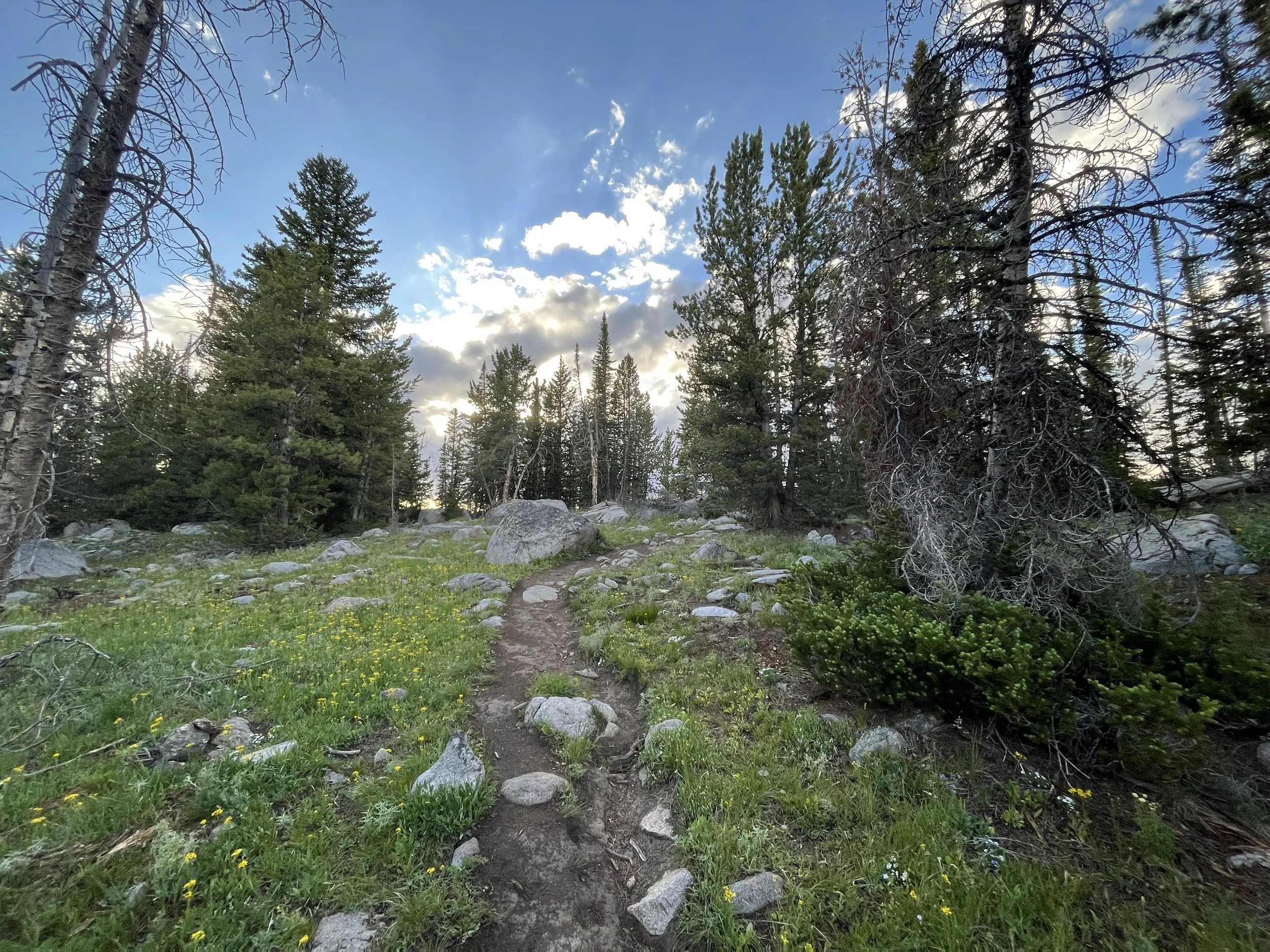 Hiking the Sacred Rim Trail in Pinedale, Wyoming — noahawaii
