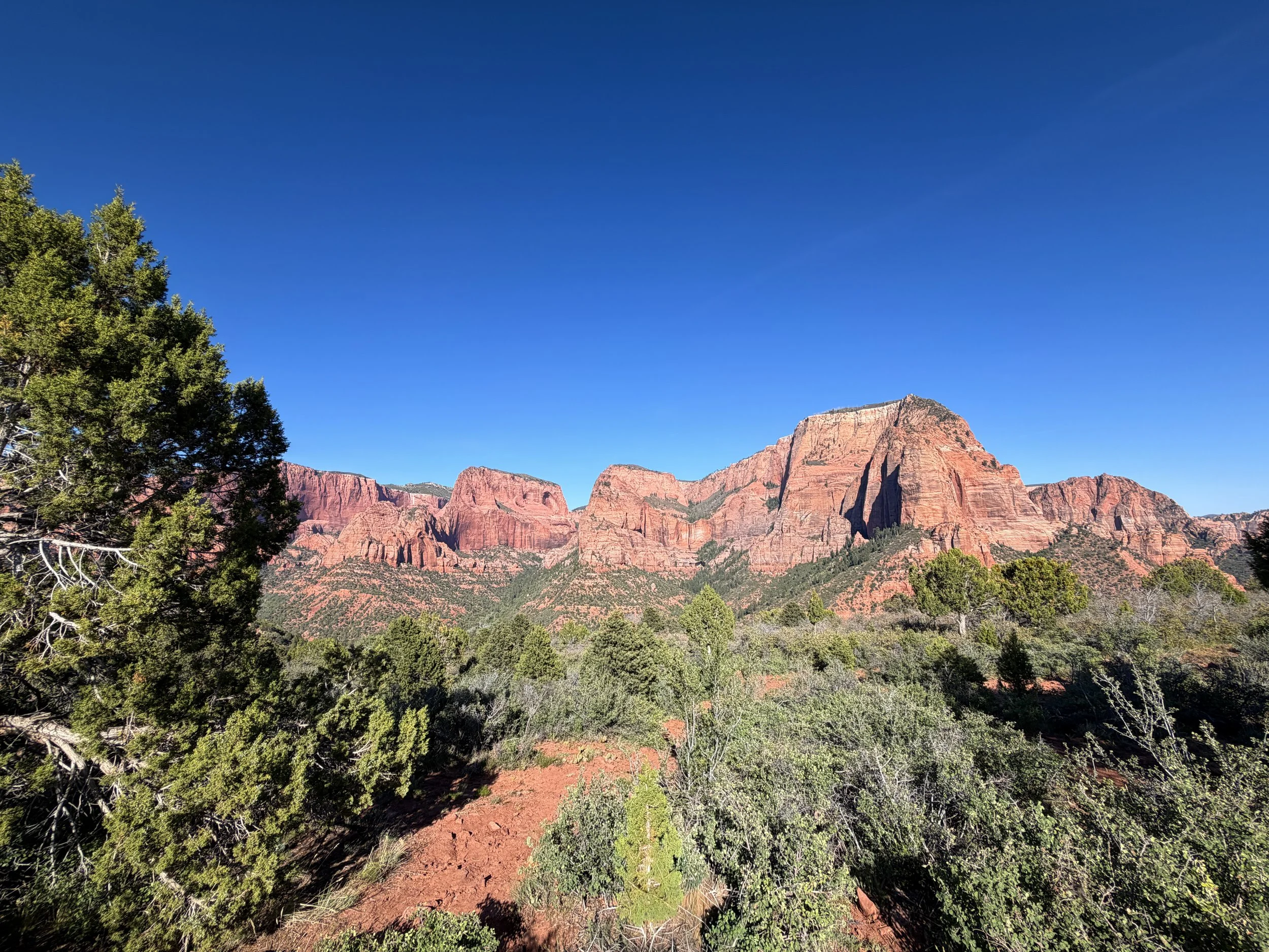 Timber Creek Overlook Trail Zion National Park Utah