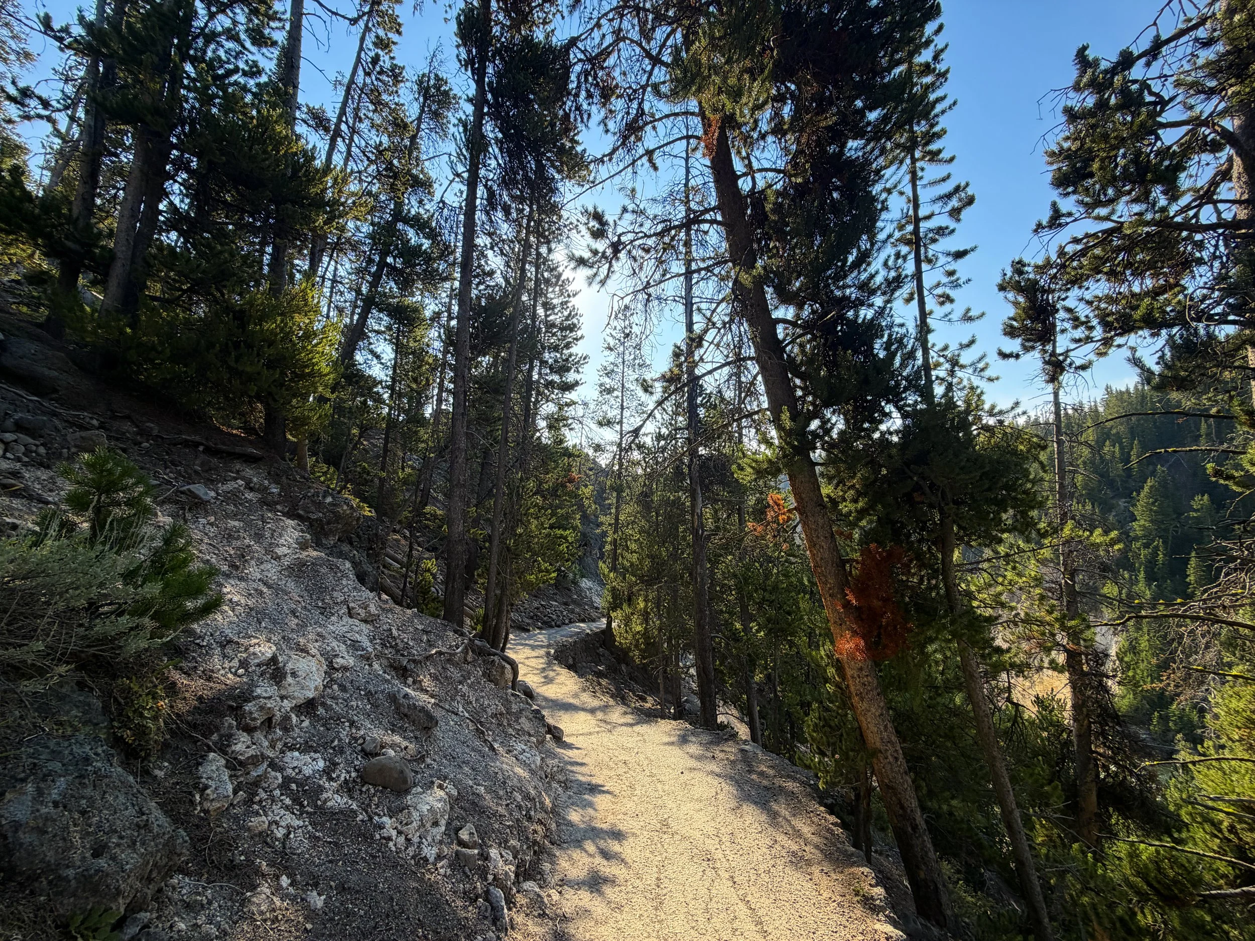 Brink of the Lower Falls Hike Yellowstone National Park Wyoming