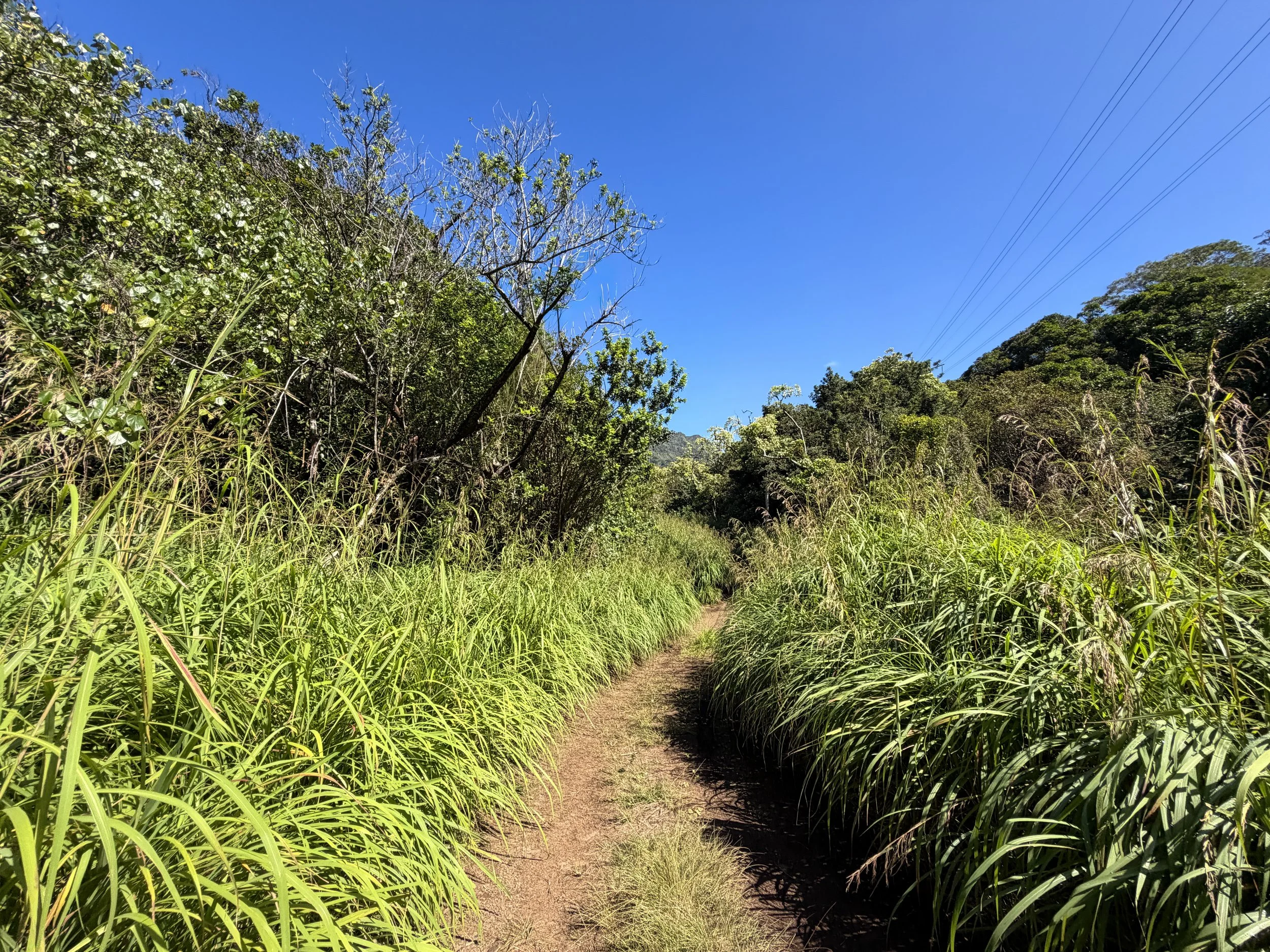Kulanaahane Trail Oahu Hawaii