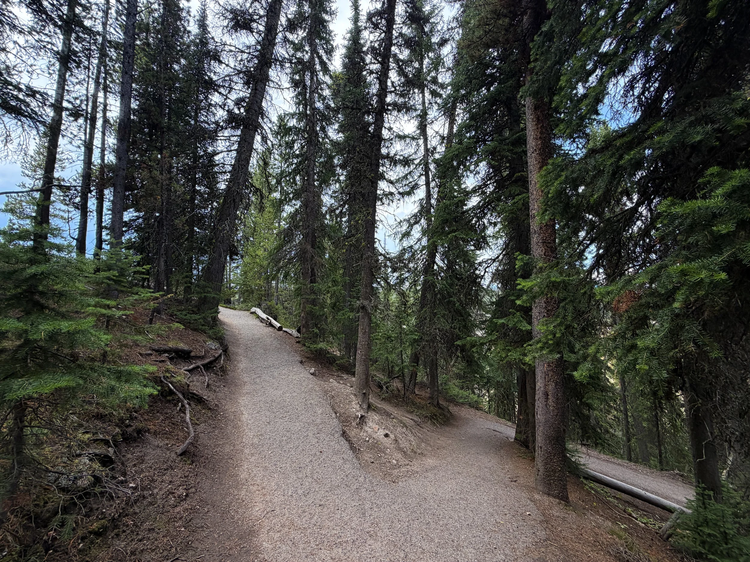 South Rim Hike Yellowstone National Park Wyoming