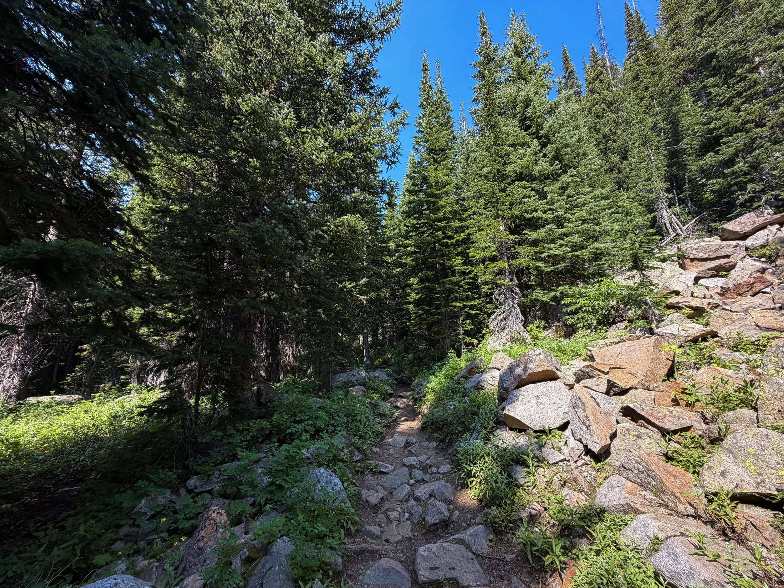East Rosebud Trail The Beaten Path Beartooth Mountains Montana