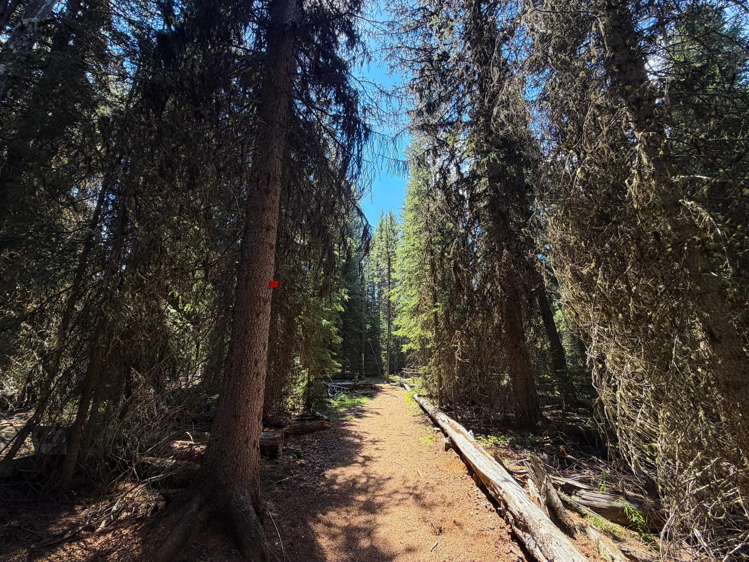 Storm Point Loop Trail Yellowstone National Park Wyoming
